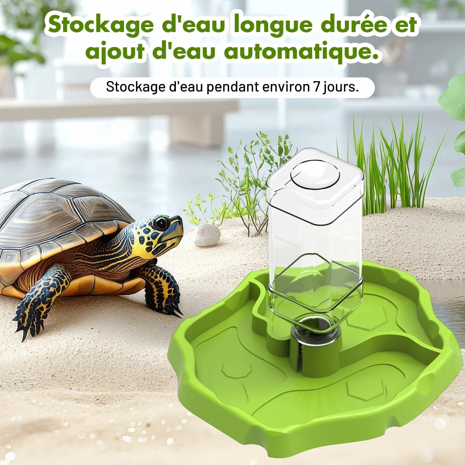 Sharplace Mangeoire pour Reptiles et Accessoires d'aquarium Conteneur Polyvalent Herbe Verte