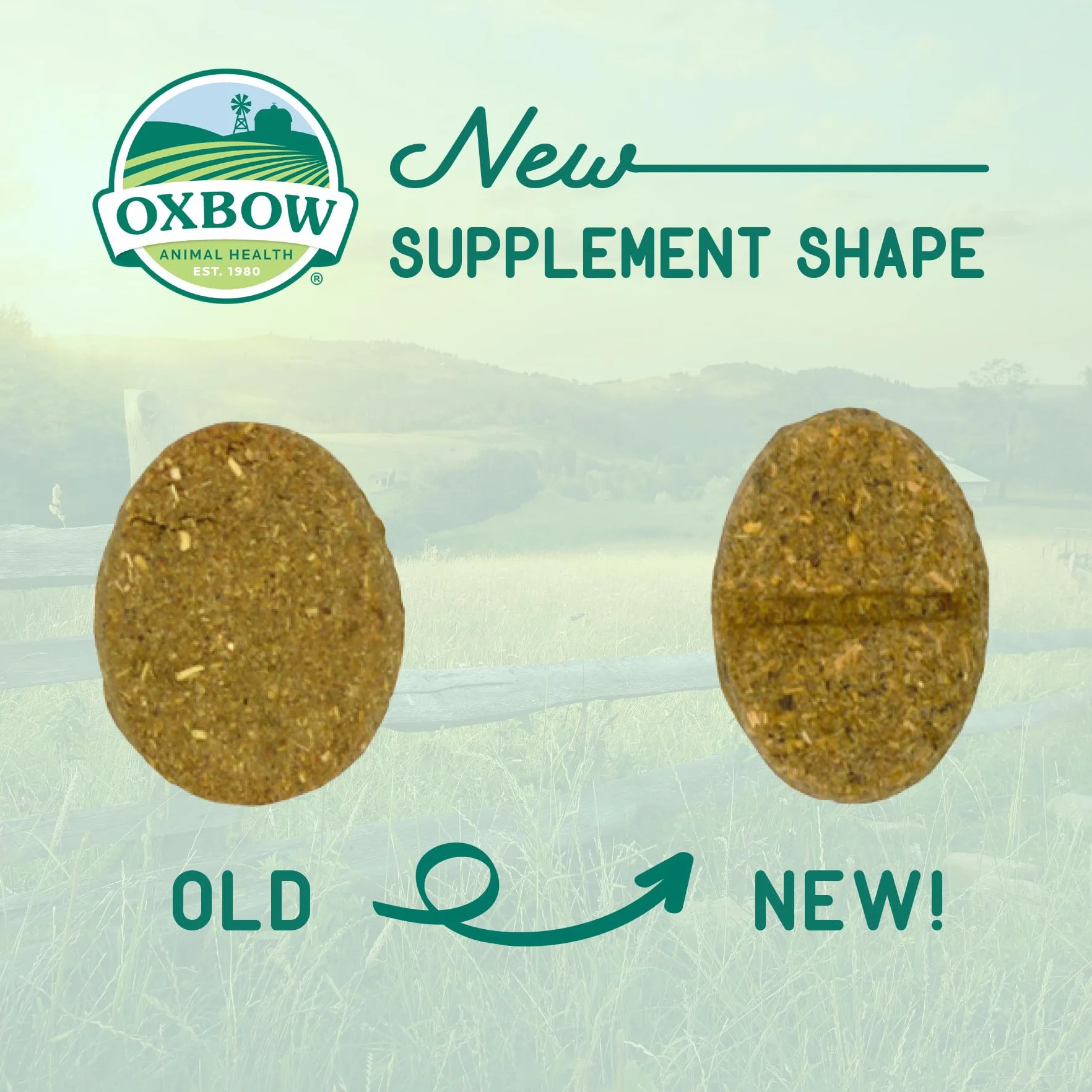 Oxbow Animal Health Natural Science Support digestif Complément Alimentaire Haute teneur en Fibres pour Lapin Cochon d'Inde Foin Timothy Racine chicorée
