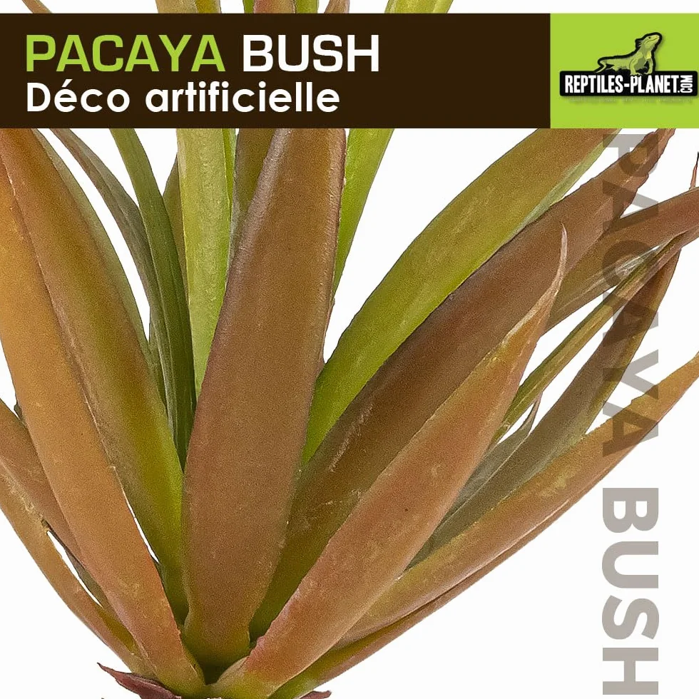 REPTILES PLANET - Pacaya Bush- Plante Artificielle - Décoration pour Terrarium - 20 cm