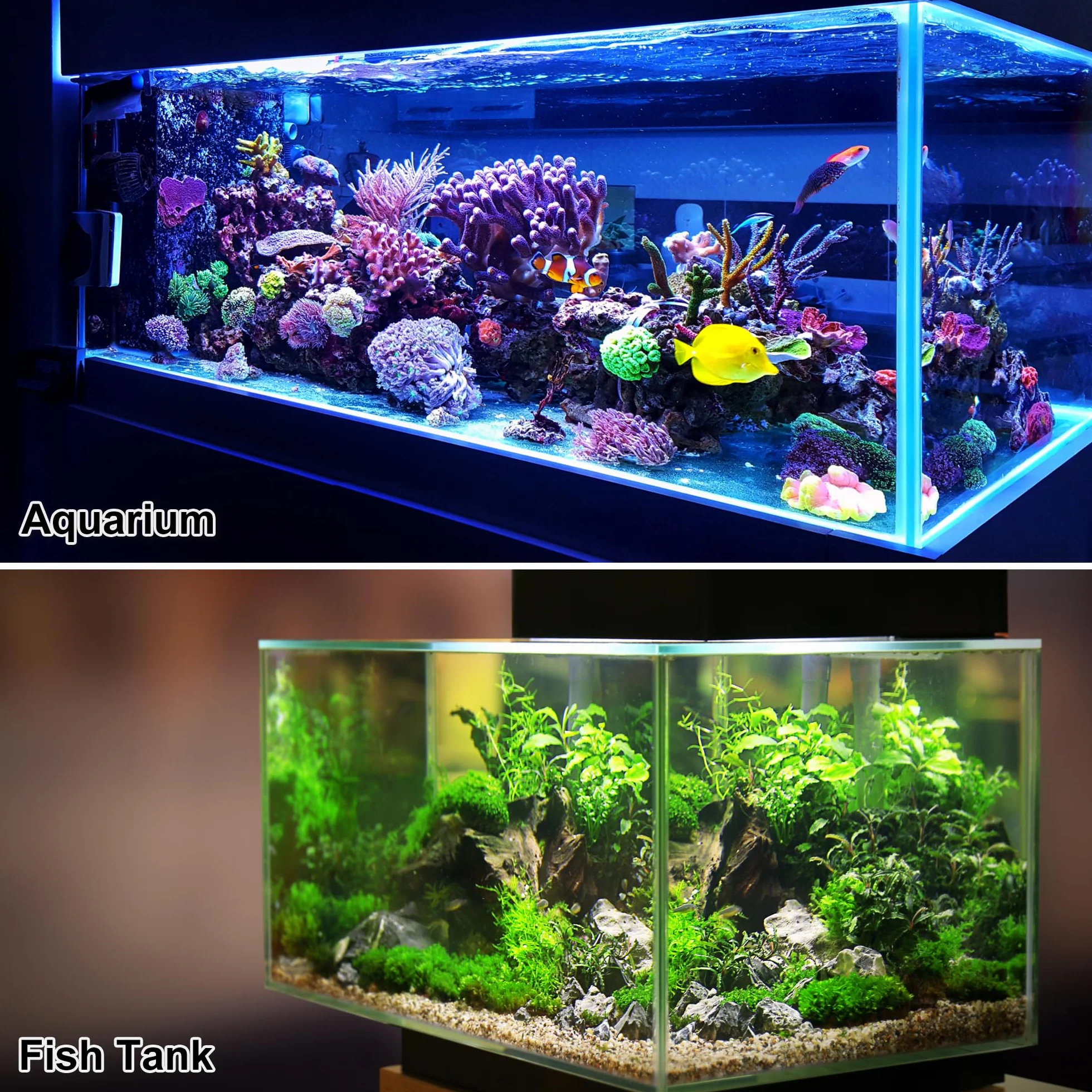 VOCOSTE Aquarium Plastique Plantes Artificiel Aquatique Poisson Réservoir Décoration Violet 3