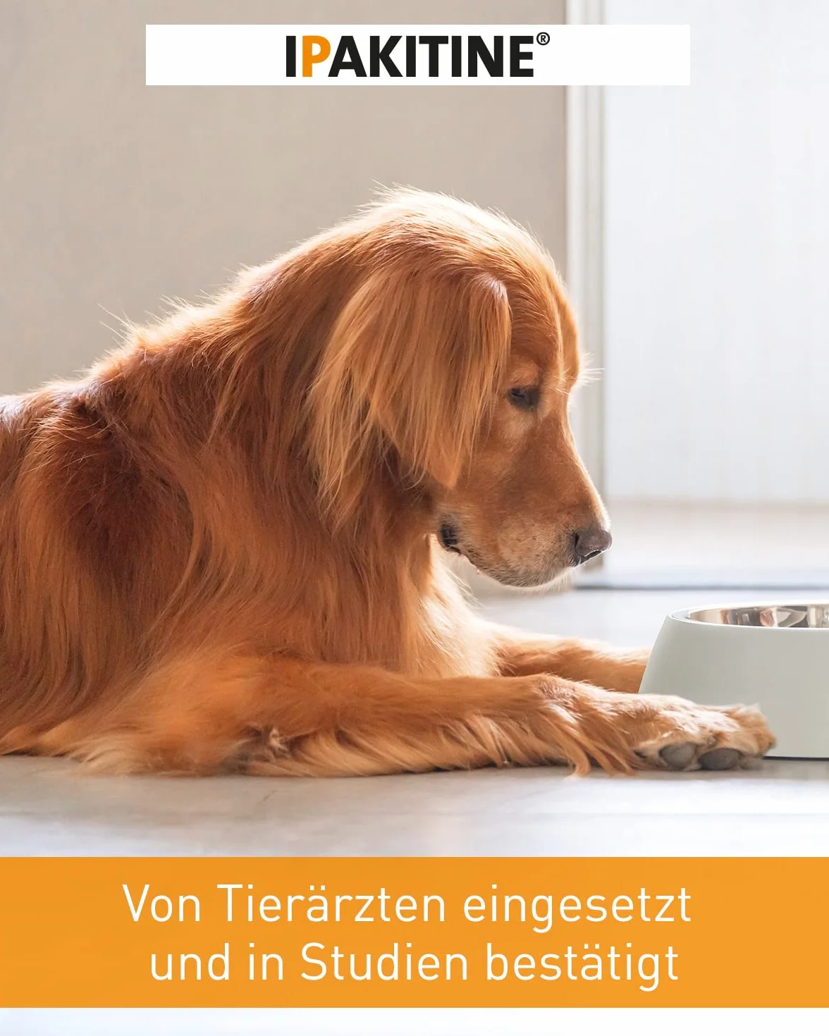 Vetoquinol Ipakitine Décontractants Pot pour Chien 300 g