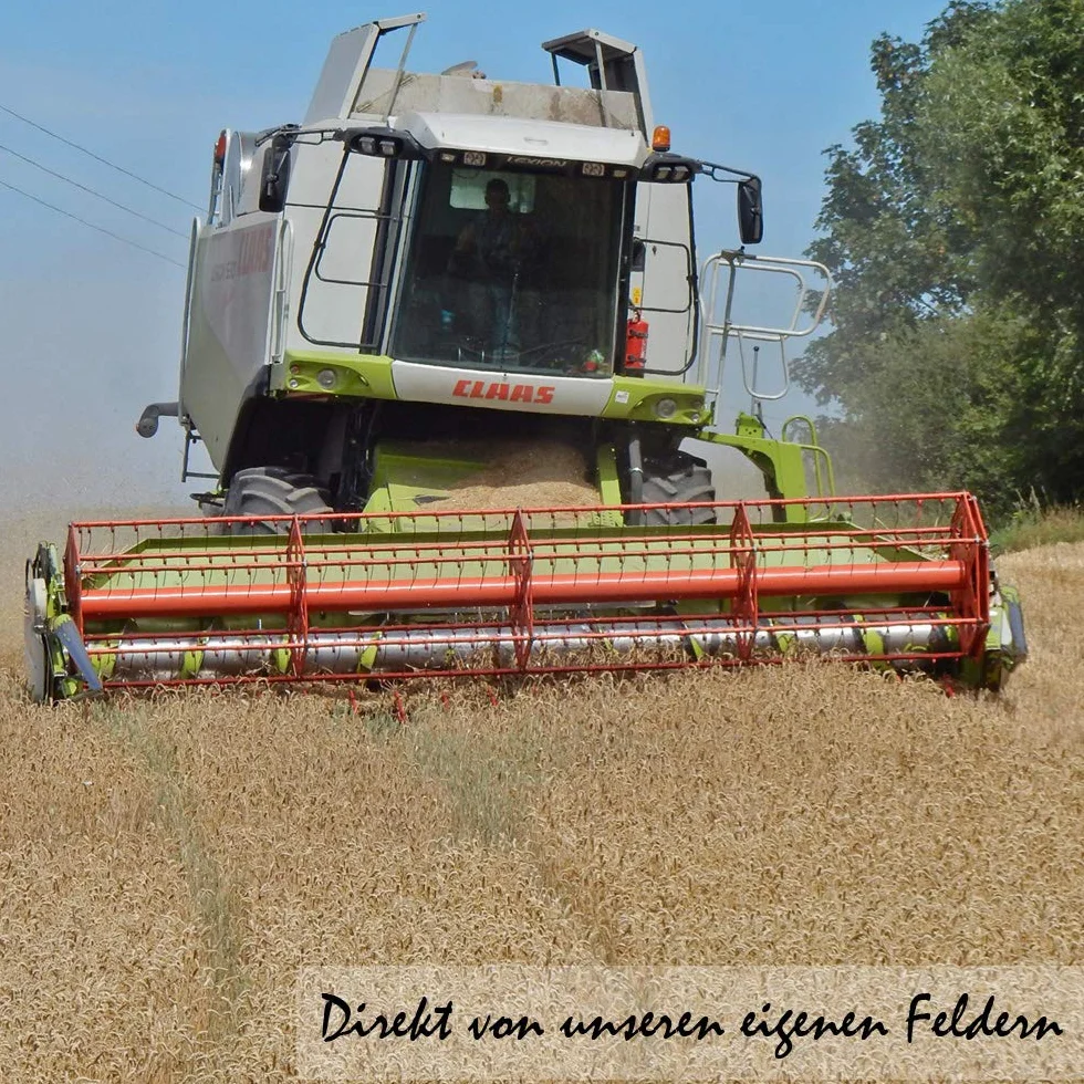 Petigi 30 kg Grain Graines de Blé Aliments pour Animaux Poulet Volaille