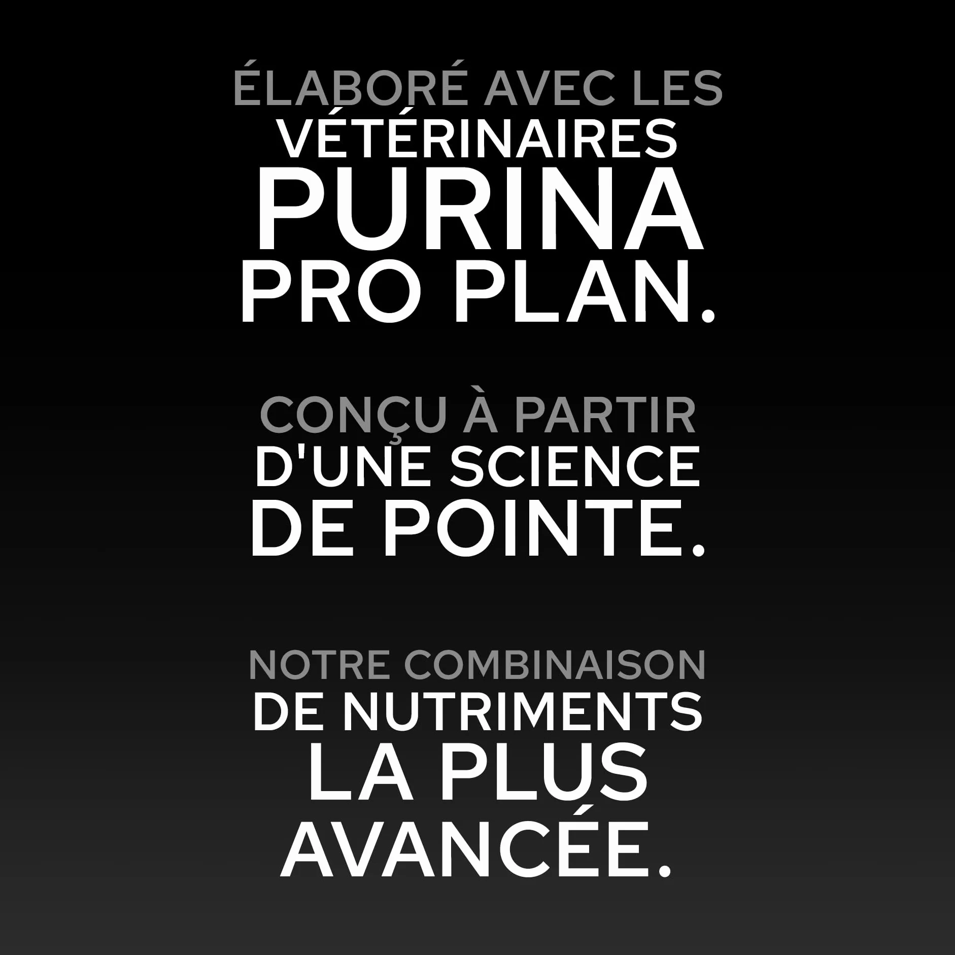 Purina Pro Plan Protein & Energy - Croquettes Chien Adulte au Poulet, 16 kg | Croquettes Chien Saveur Poulet - Contient 60% de protéines animales pour chiens adultes actifs - Alimentation Chien