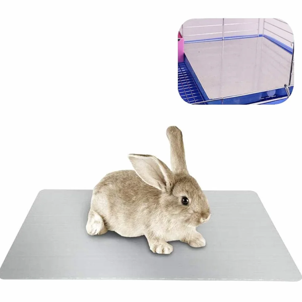 Tapis de Refroidissement pour Lapin, PeSandy Coussin de refroidissement pour Lapins, Cochon d'Inde, Chinchilla, Hamster et Autres Petits Animaux Restent au Rrais Cet Été - Assiette Cool Lapin(30x20cm)