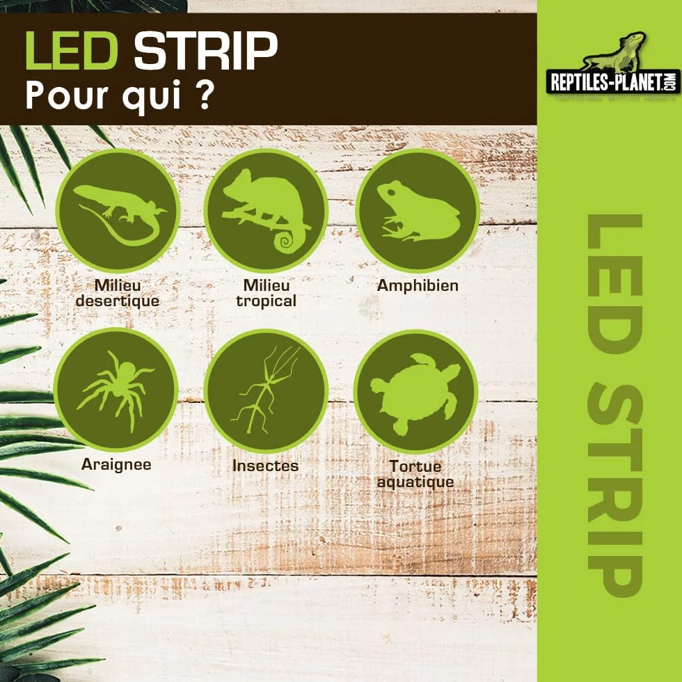 Reptiles Planet Bandeau LED Multicolore pour Terrarium 26 x 3 x 2 cm