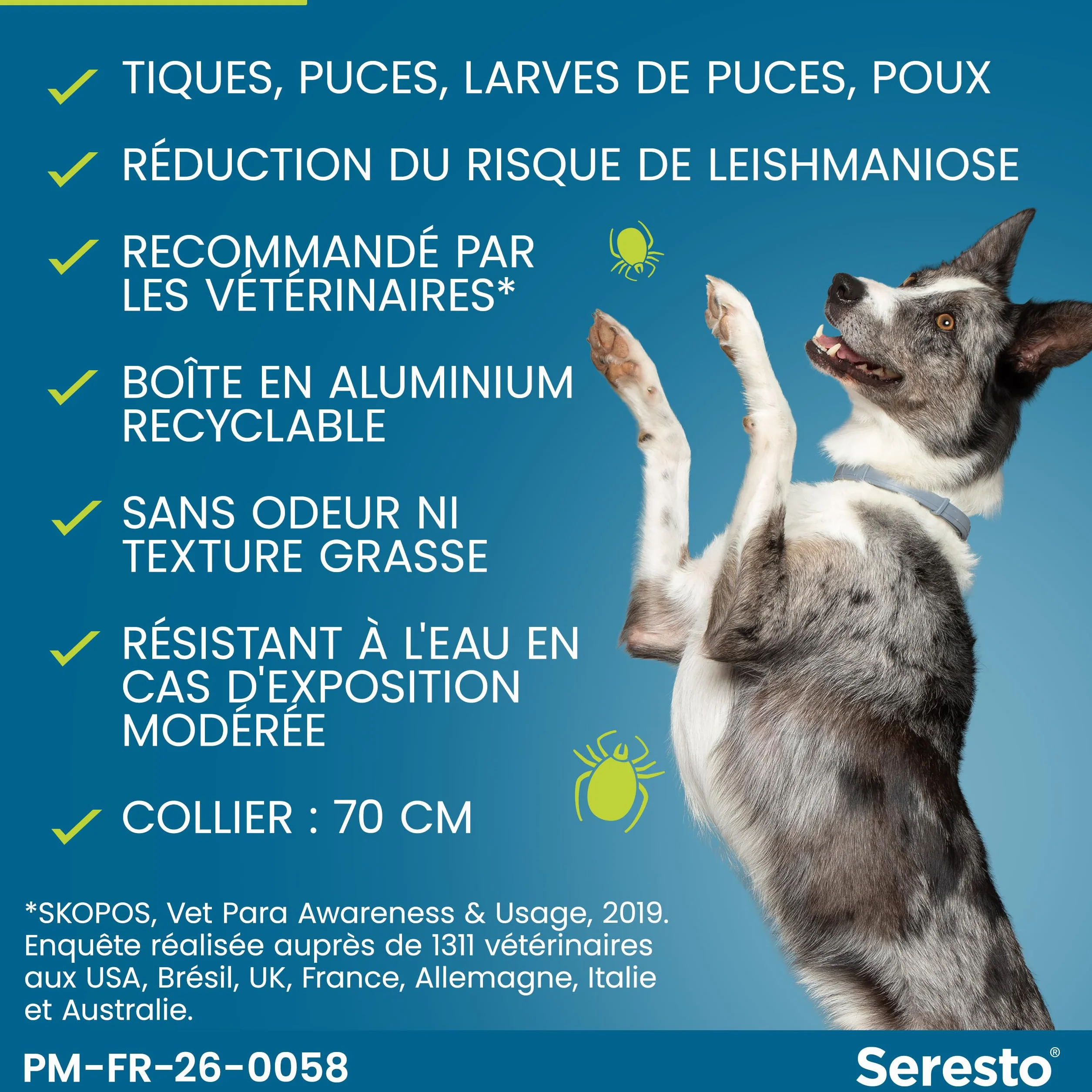 Seresto Collier Grands Chiens – 2 Protections anti puces et anti tiques pour grands chiens de plus de 8 kg – Collier Seresto pour chien 7 à 8 mois de protection, réduit le risque de leishmaniose –Gris