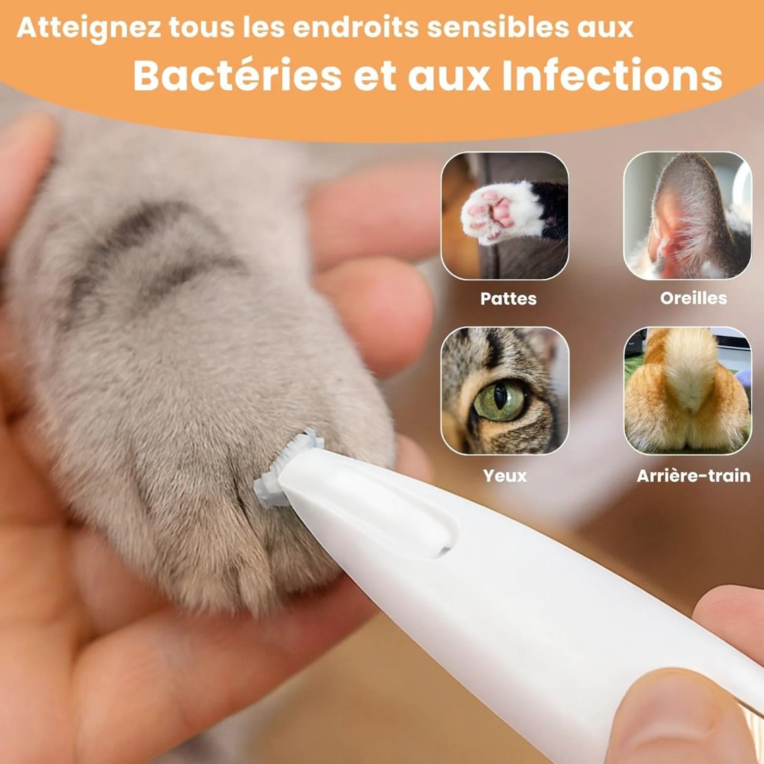 Tondeuse de Précision pour Chat et Chien Silencieuse avec Lames Céramique et Inox, Étanche, USB-C
