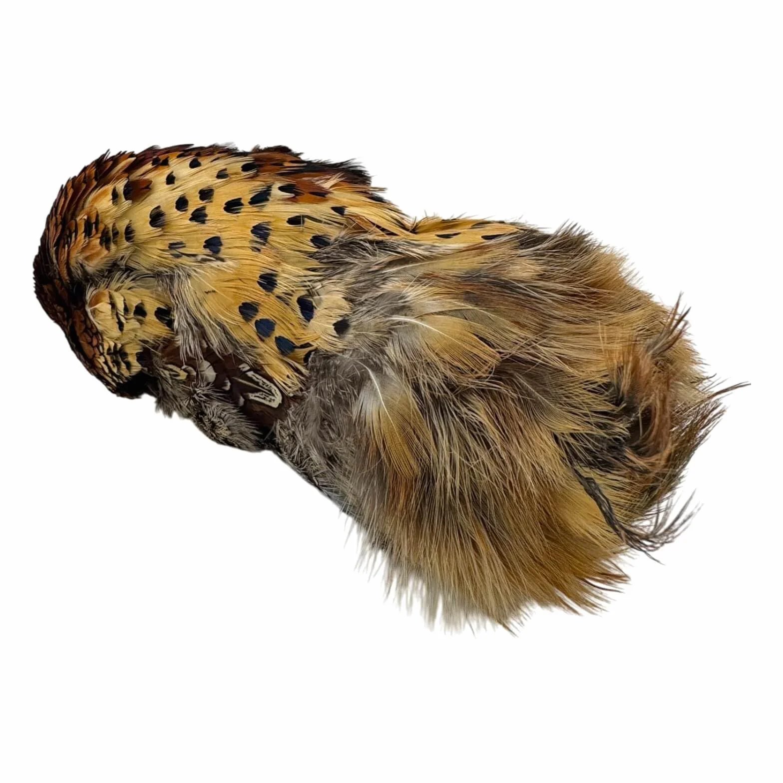 Romneys Fasanendummy 500 g avec véritable robe en plumes flottant pour formation chiens de chasse