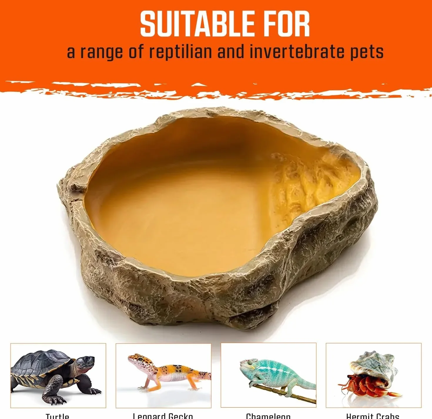 Bol à Eau pour Terrarium Tortues Reptiles Serpent Gecko
