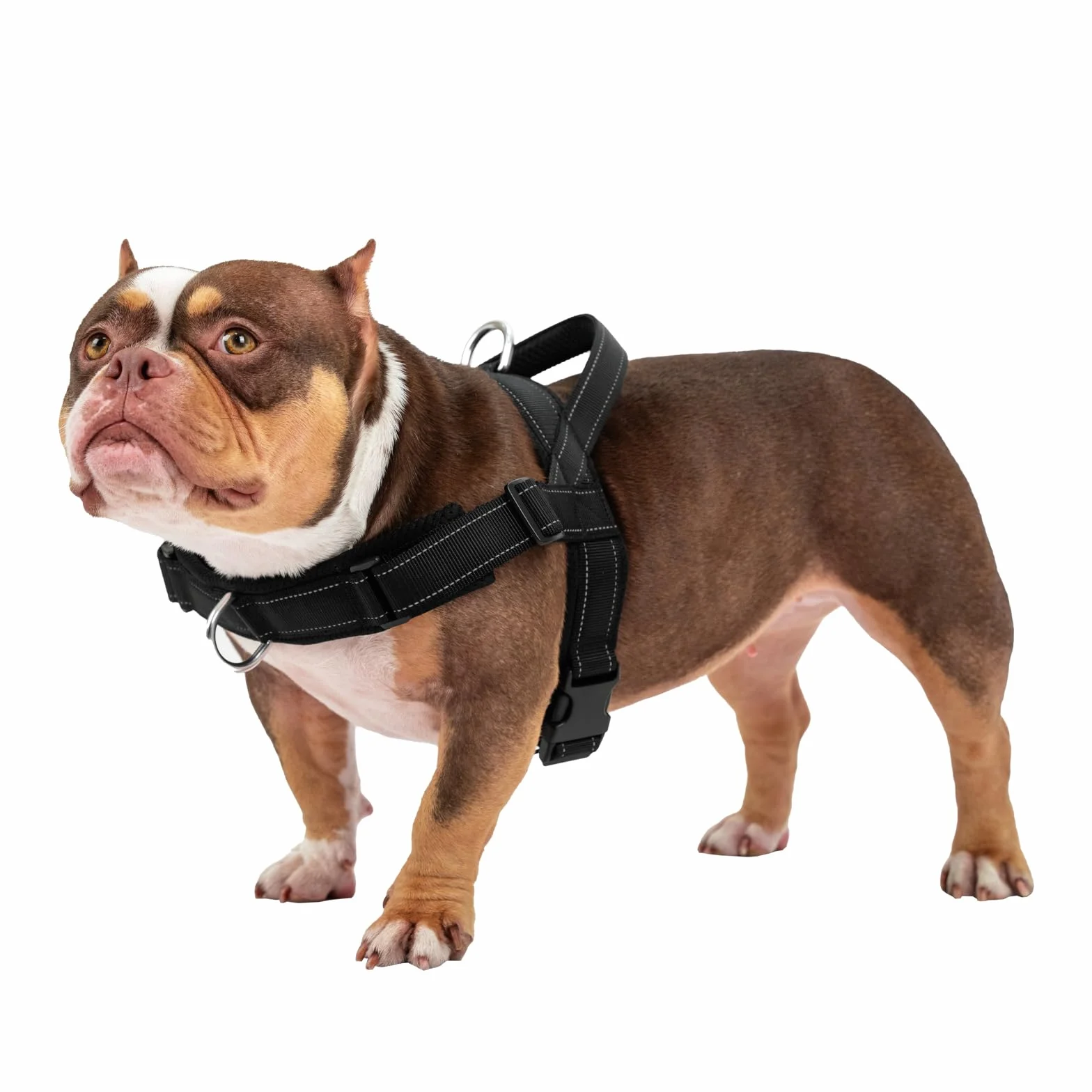 Harnais pour Chien Anti-Traction Harnais en T Réfléchissant Noir Arblina