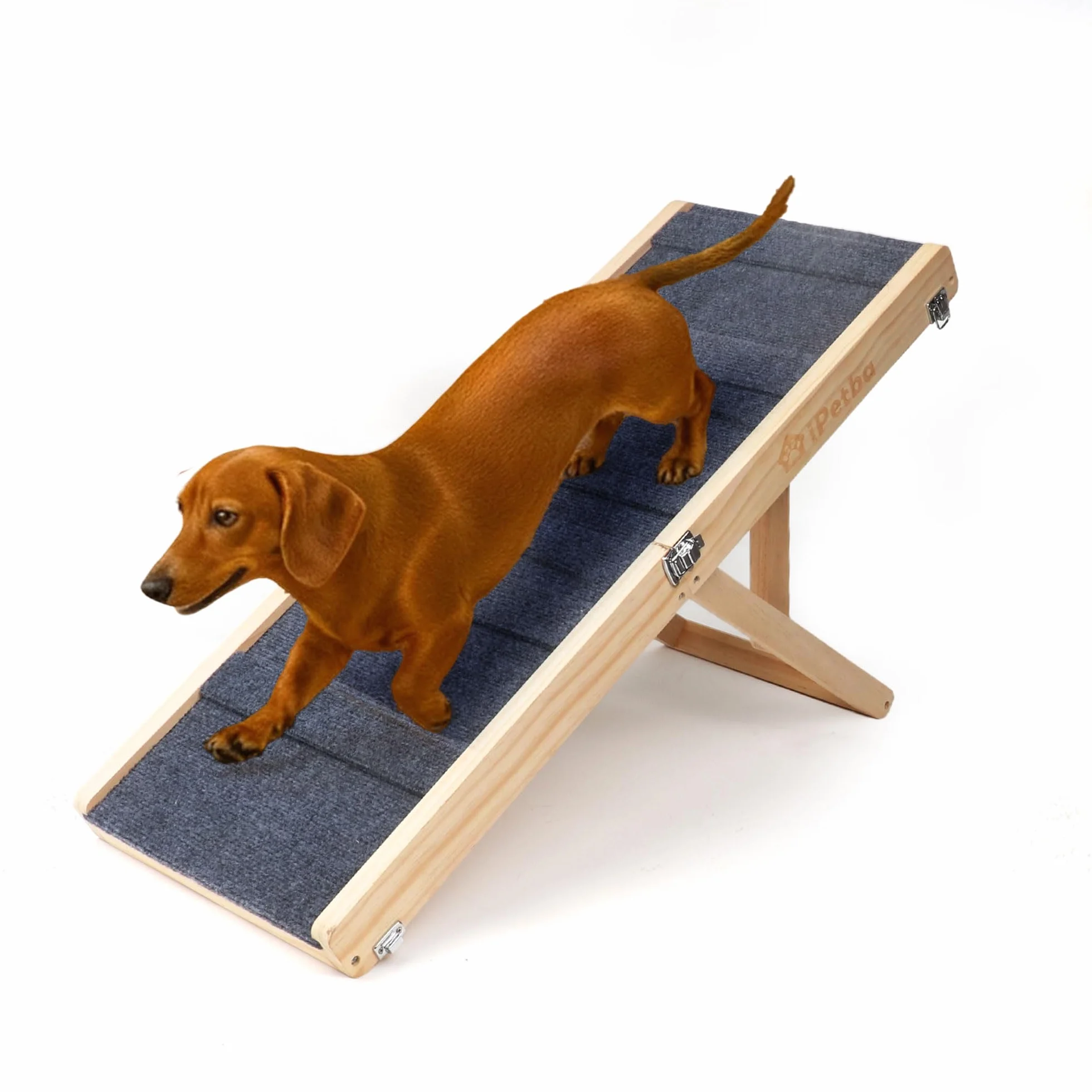 Rampe pour Chien pour Lit & Canapé Antidérapant Pliable Réglable Jusqu'à 16 kg