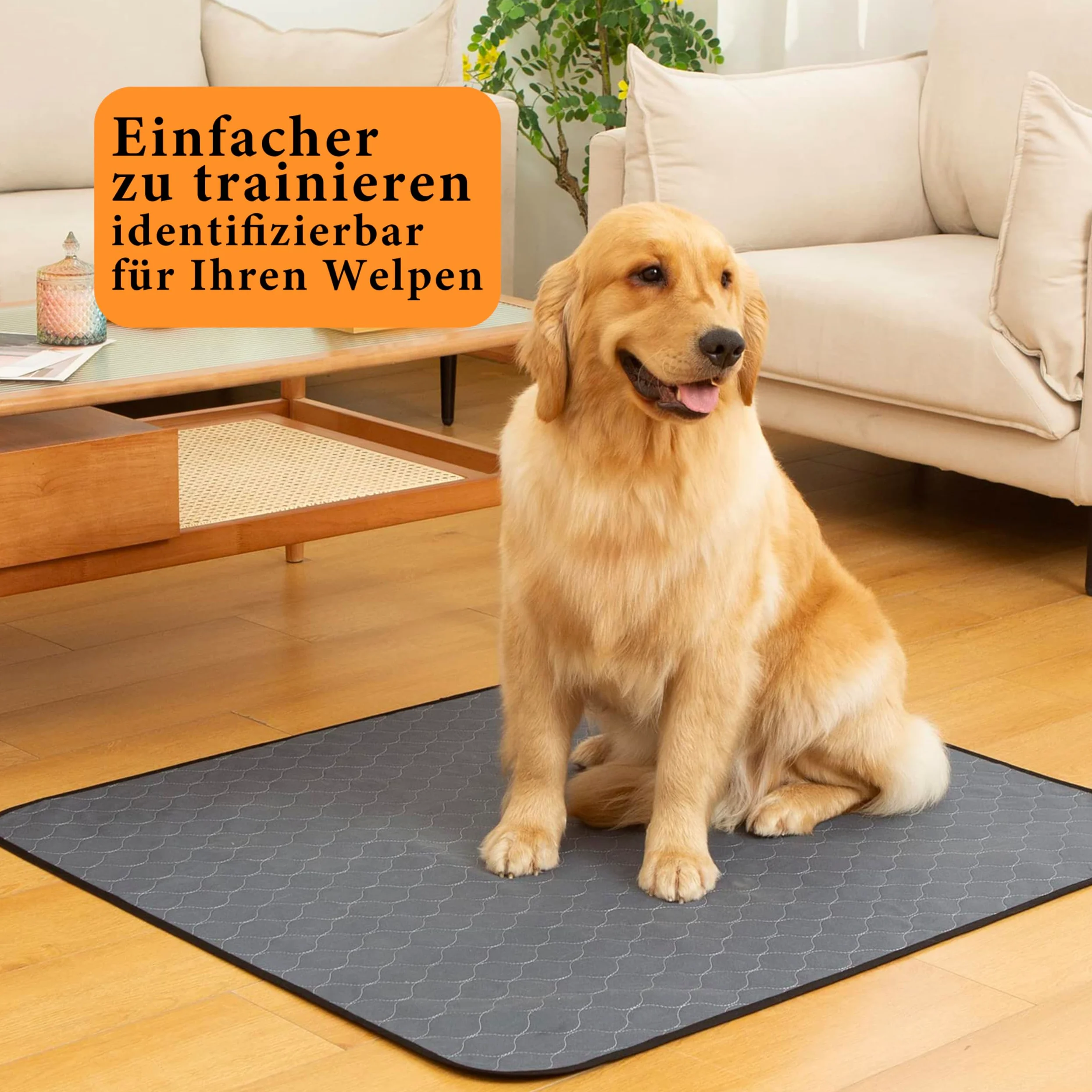 Bunlitent Lot de 5 tapis réutilisables pour chien (91 x 122 cm) – Tapis d'urine pour animaux de compagnie lavables, absorption rapide, imperméables pour chiots et chiens incontinents