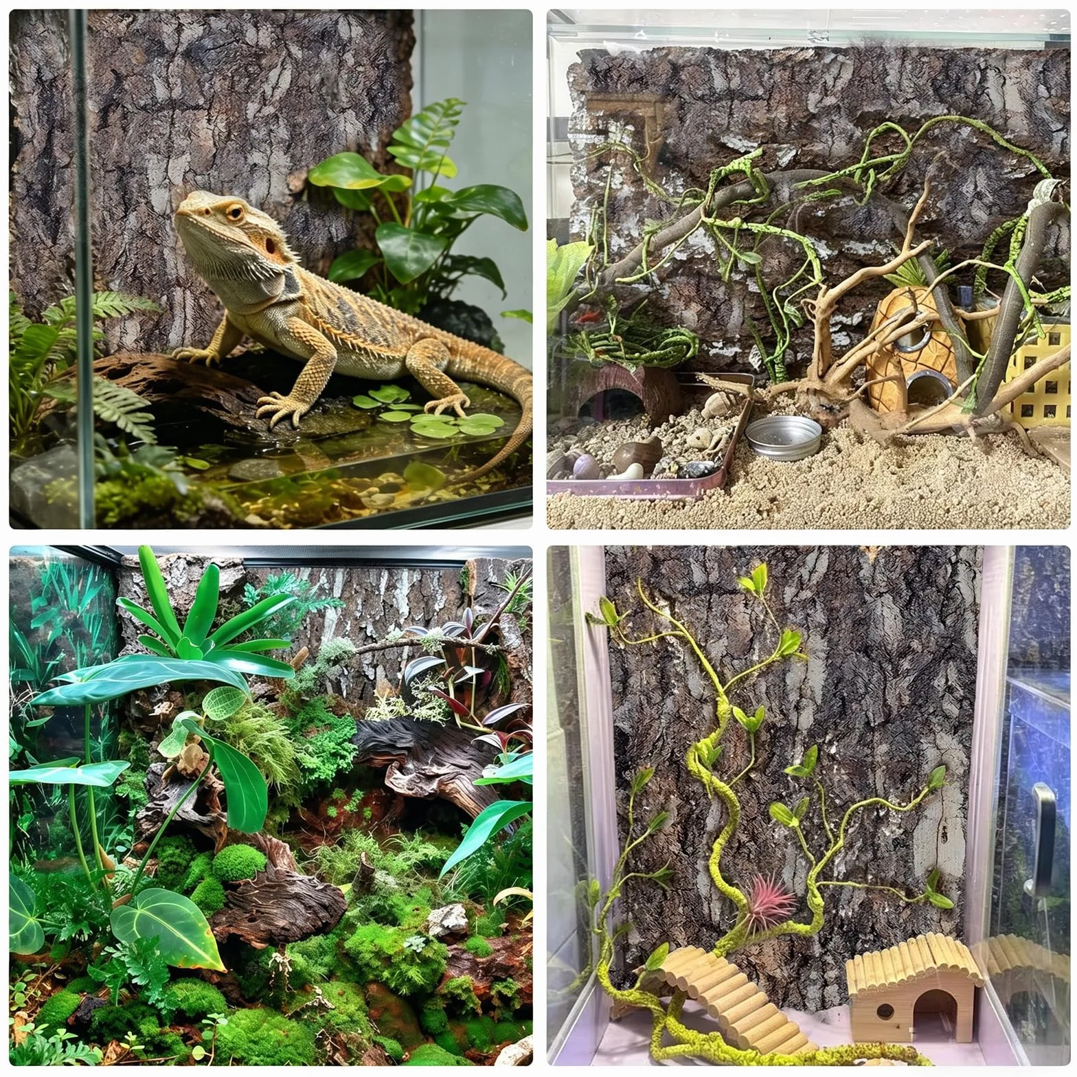 Panneaux Écorce de Liège pour Terrarium 5×5cm 20×30cm Lézard Tortue Gecko