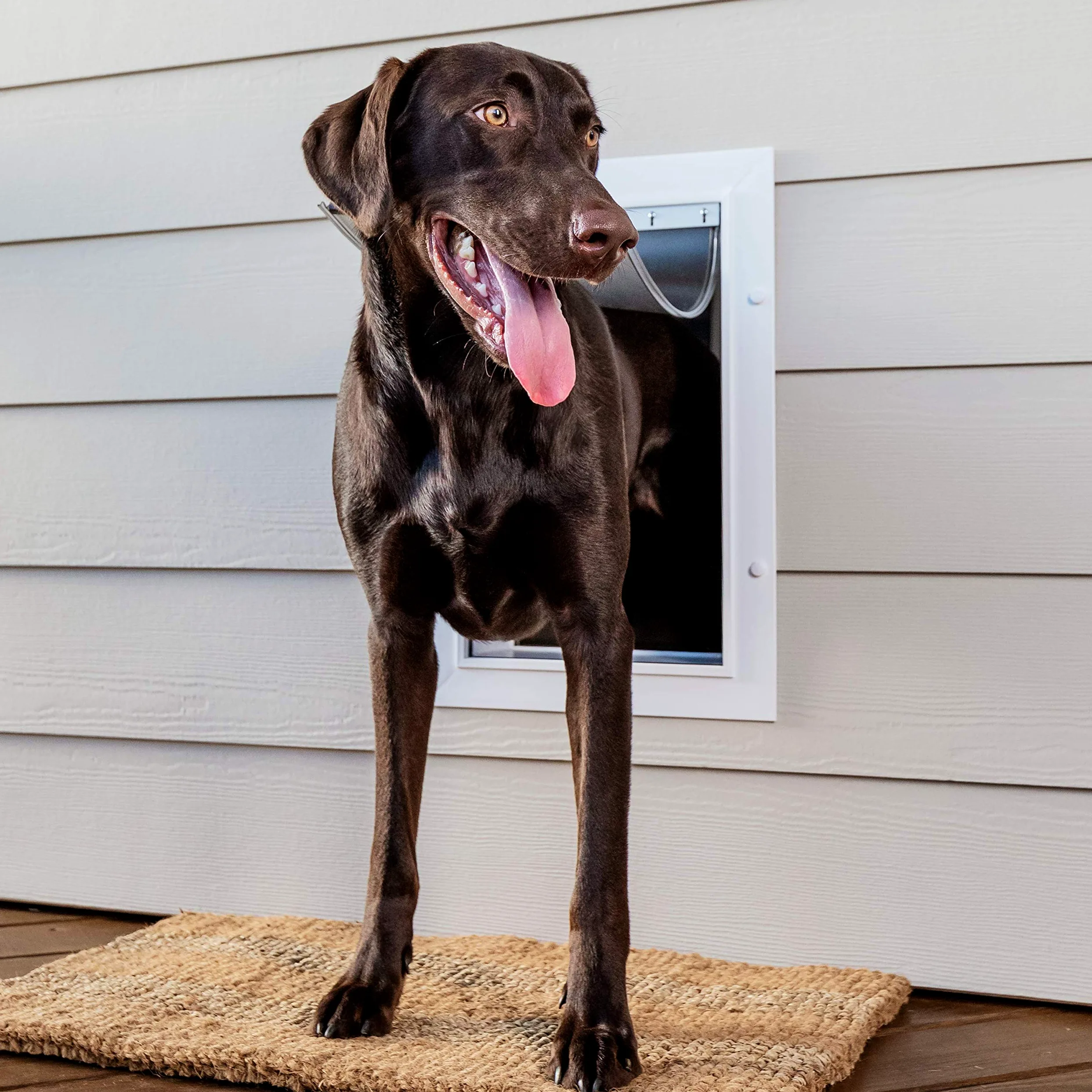PetSafe Porte Murale pour Animal Domestique avec Tunnel télescopique, Grand, 3,58302 kg