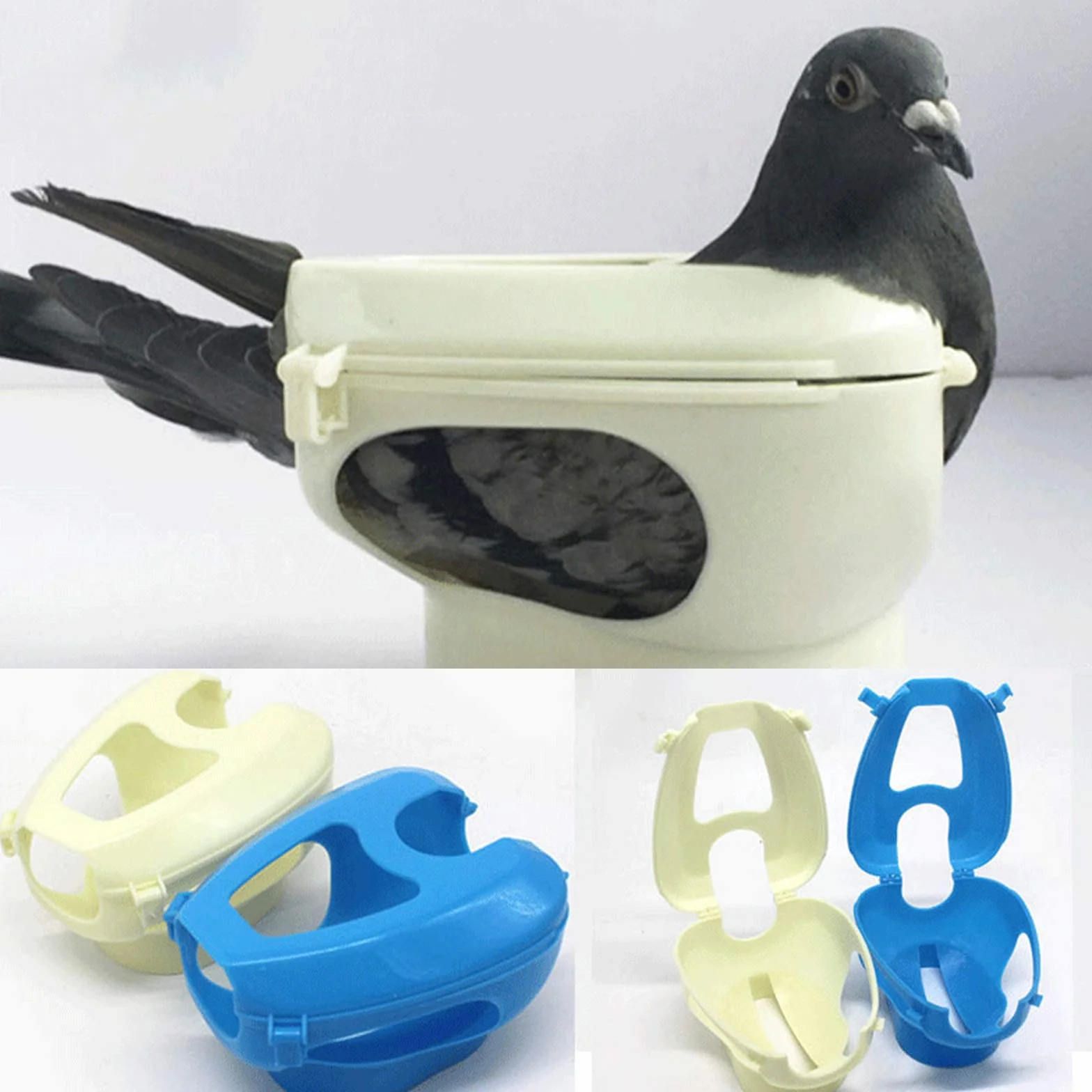 Porte-Pigeons Polyvalent Dove Fixateur d'injection de Vaccination Support Bleu