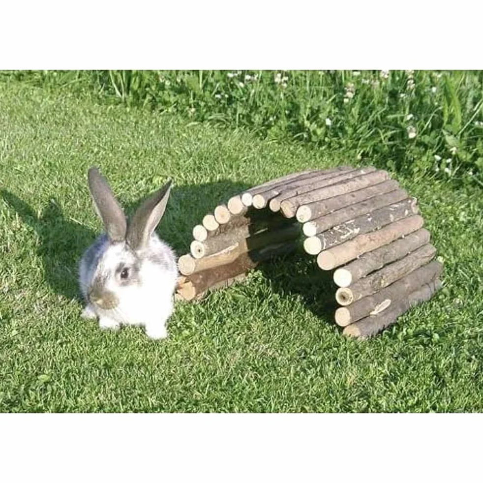 Kerbl Petits Animaux Passerelle Bois 50 cm pour Souris