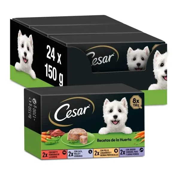 Cesar Nourriture Humide pour Chiens Recettes du Potager en pâté et gelée, Multipack 3 x 8 Pots x 150 g