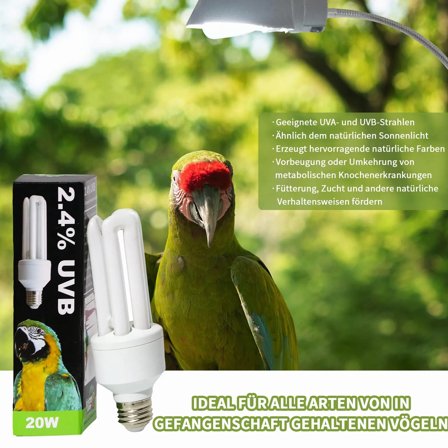 LUCKY HERP UVA UVB Ampoule 2.4 UVB 20W Lampe fluorescente compacte pour oiseaux