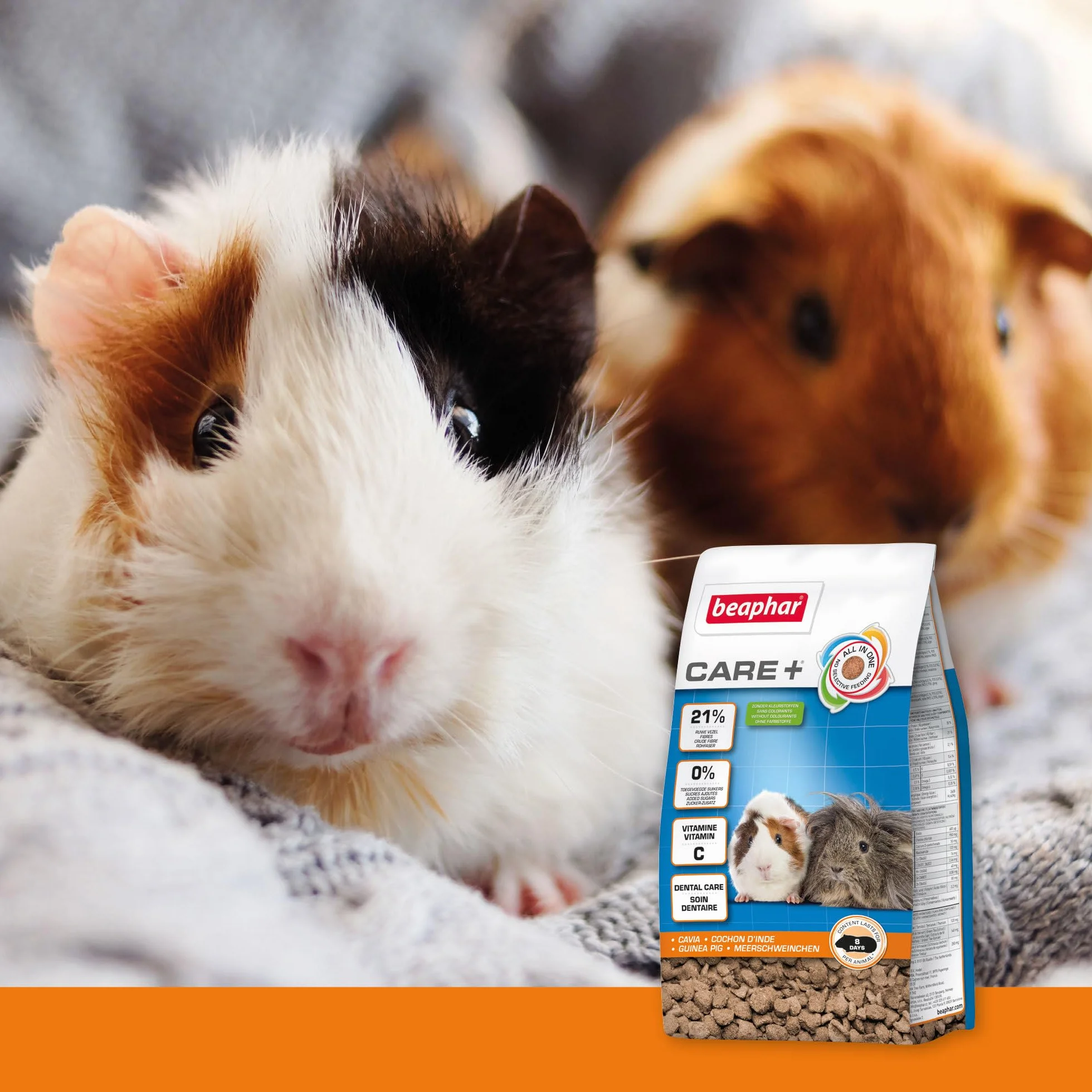 BEAPHAR Care+ Alimentation Super Premium extrudée pour Cochon d'Inde 1.5kg