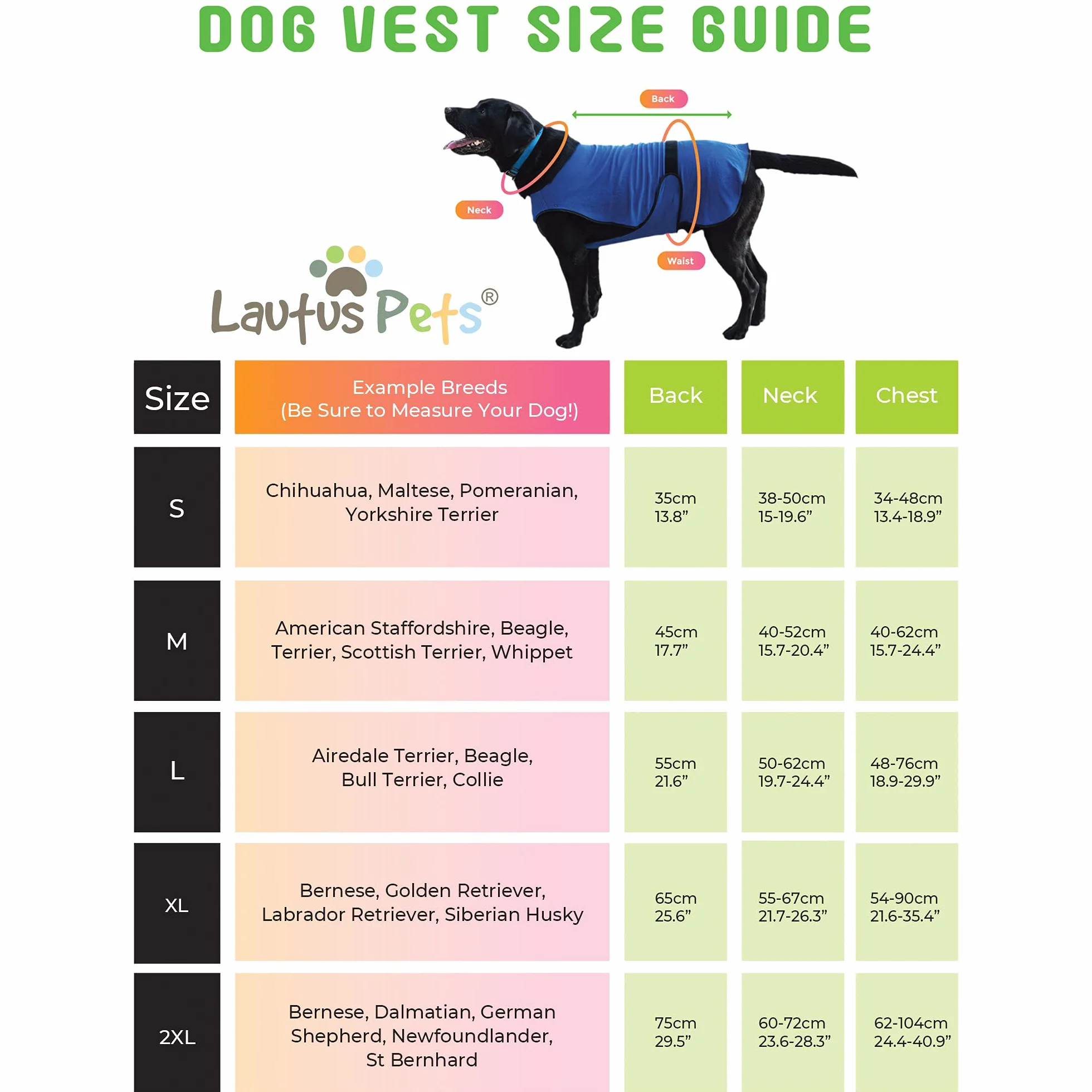 Lautus Pets Gilet Fraicheur Chien Veste Légère Petits Chiens Fermeture Éclair Velcro Promenades Voyages Extérieur M