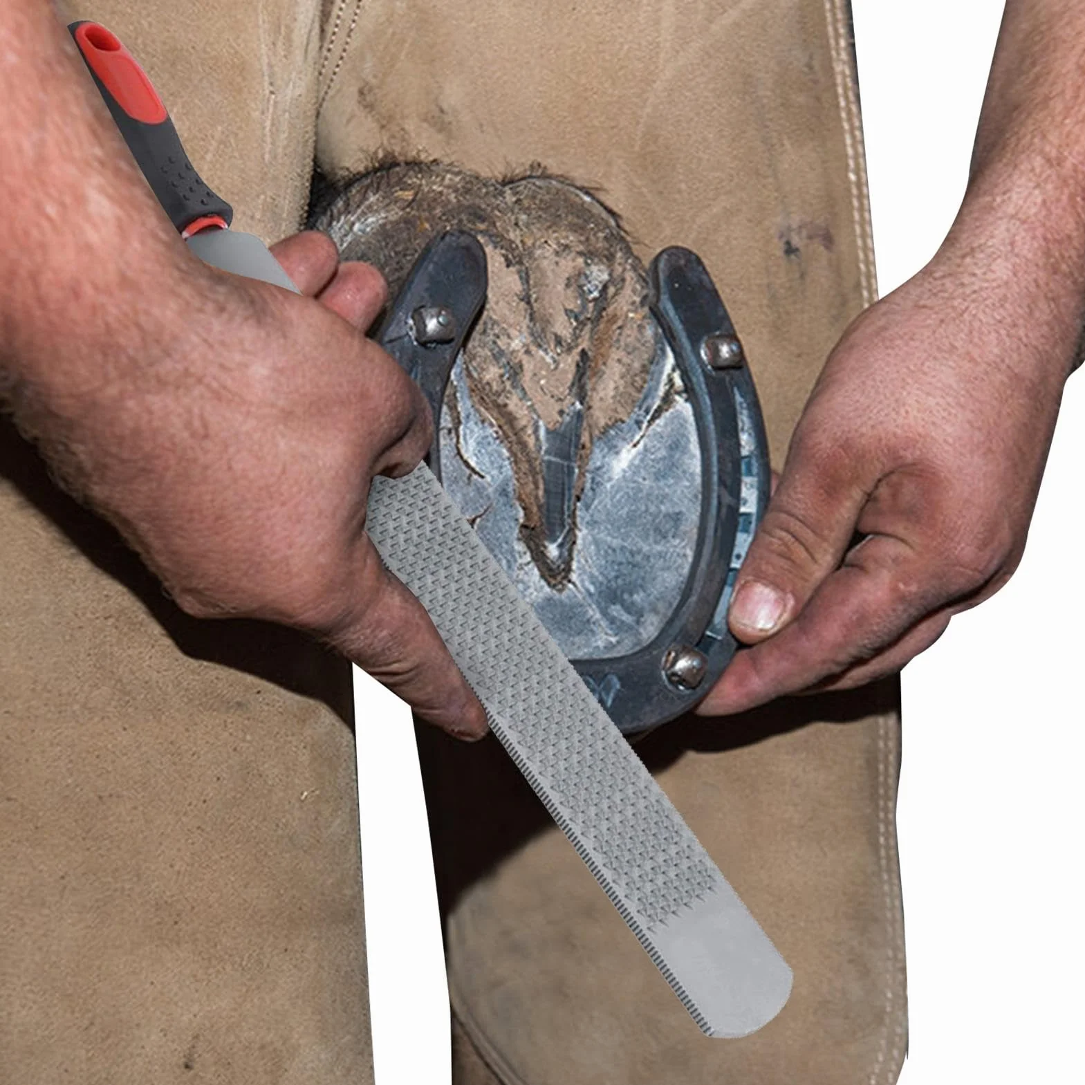 Râpe – Outil de Coupe de Sabots | Râpe Farrier – Farrier – Répartition des Sabots Double Face du Cheval – Outil de Coupe Ergonomique – pour chèvre, Vache, âne, Cochon, Sabots d'animaux, Animal