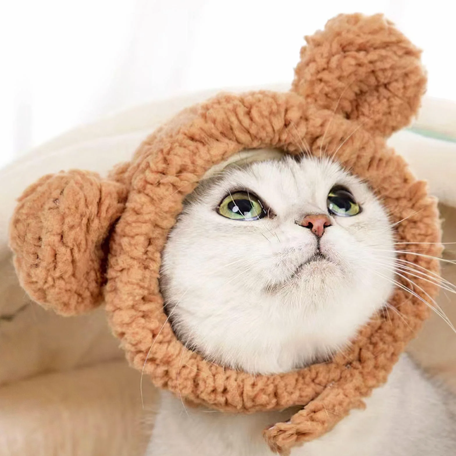 Chapeaux De Chat En Forme D'Ours 2 Pièces, Accessoires De Déguisement Pour Animaux De Compagnie