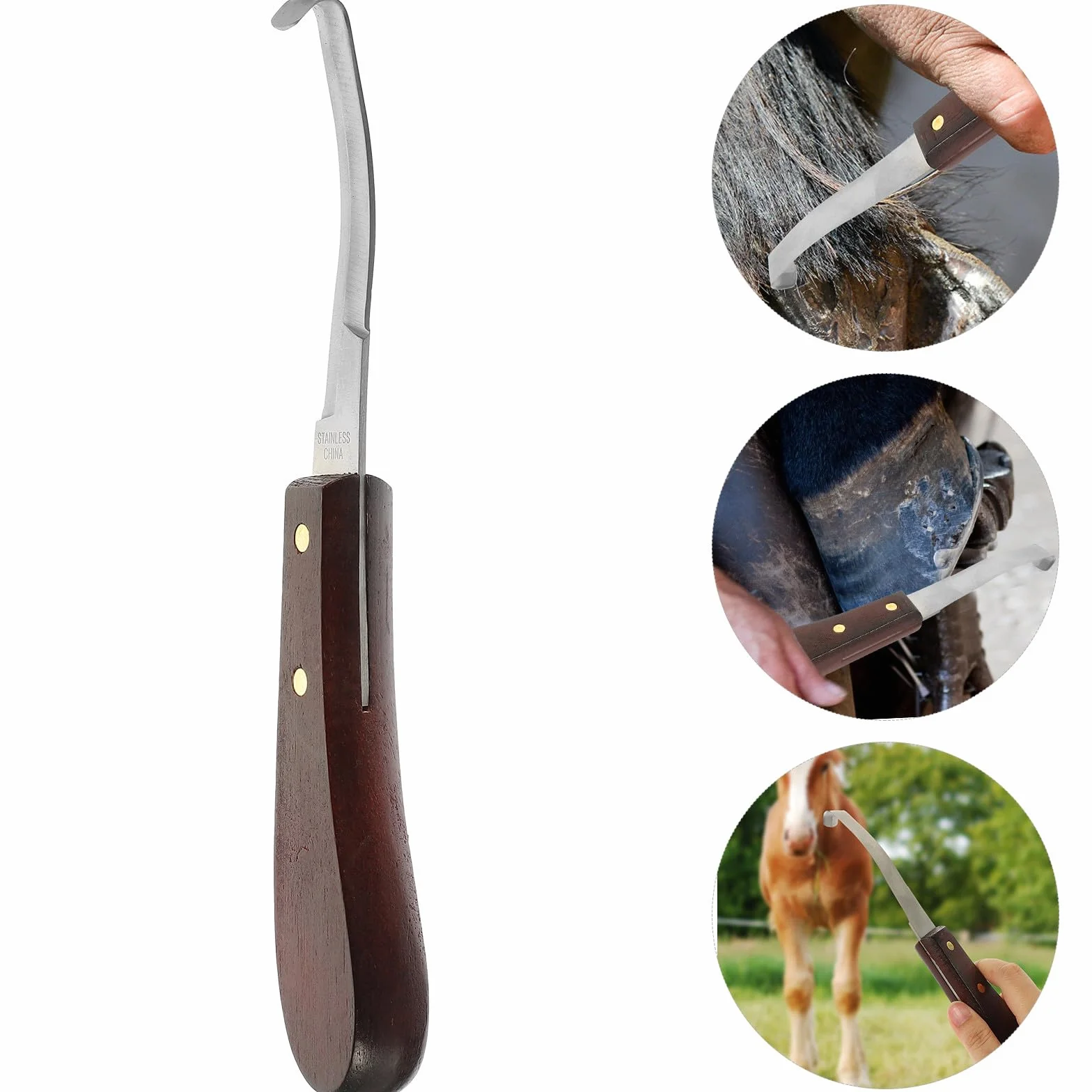 Couteau à Sabot Design Ergonomique en Acier Inoxydable Résistant à l'usure et en Bois et Parrage Précis pour Usage Quotidien