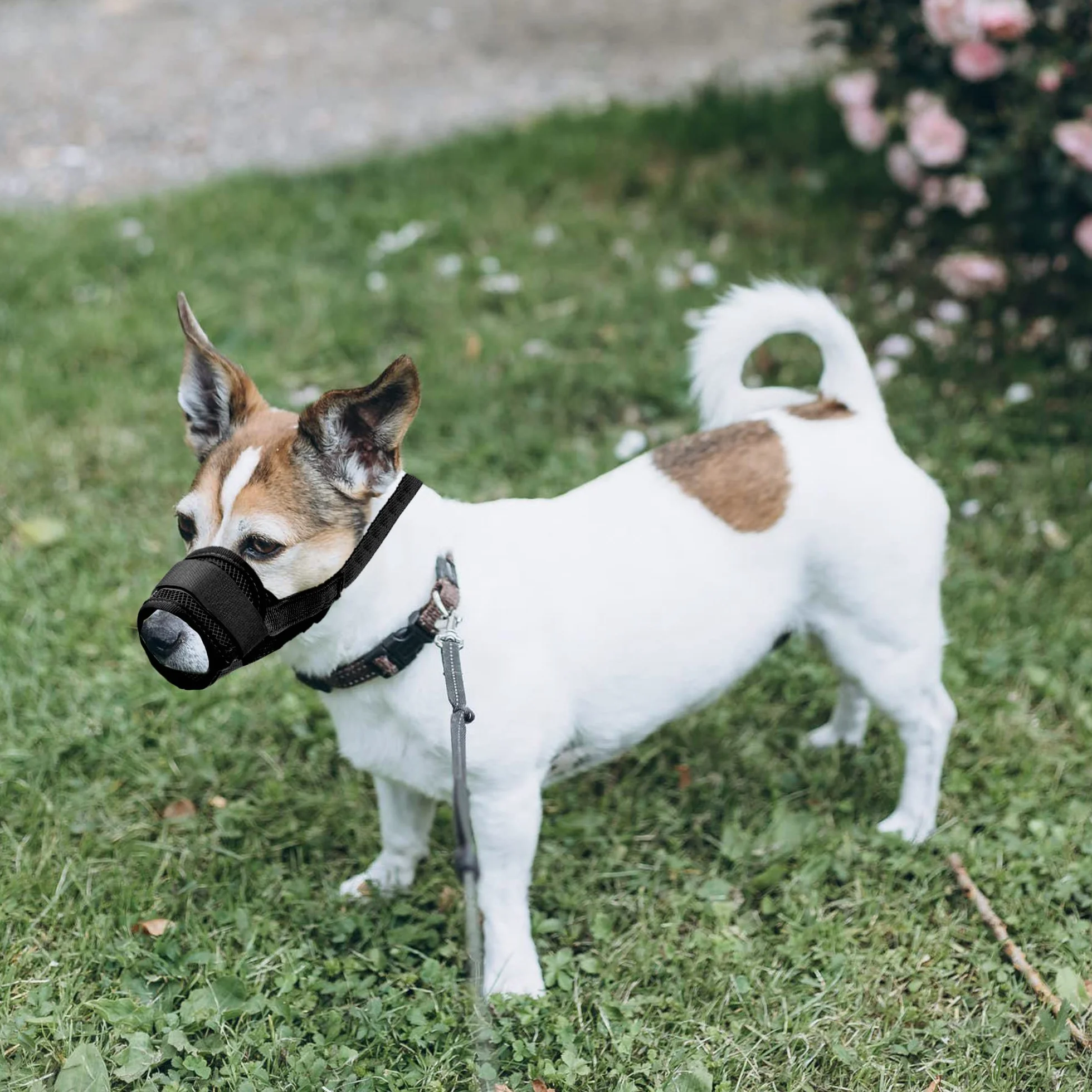 YAODHAOD Respirant Muselière en Nylon Réglable pour Chiens, Réglage Rapide de la Muselière, Museliere Anti-Aboiements et Anti-Morsures(L, Noir)