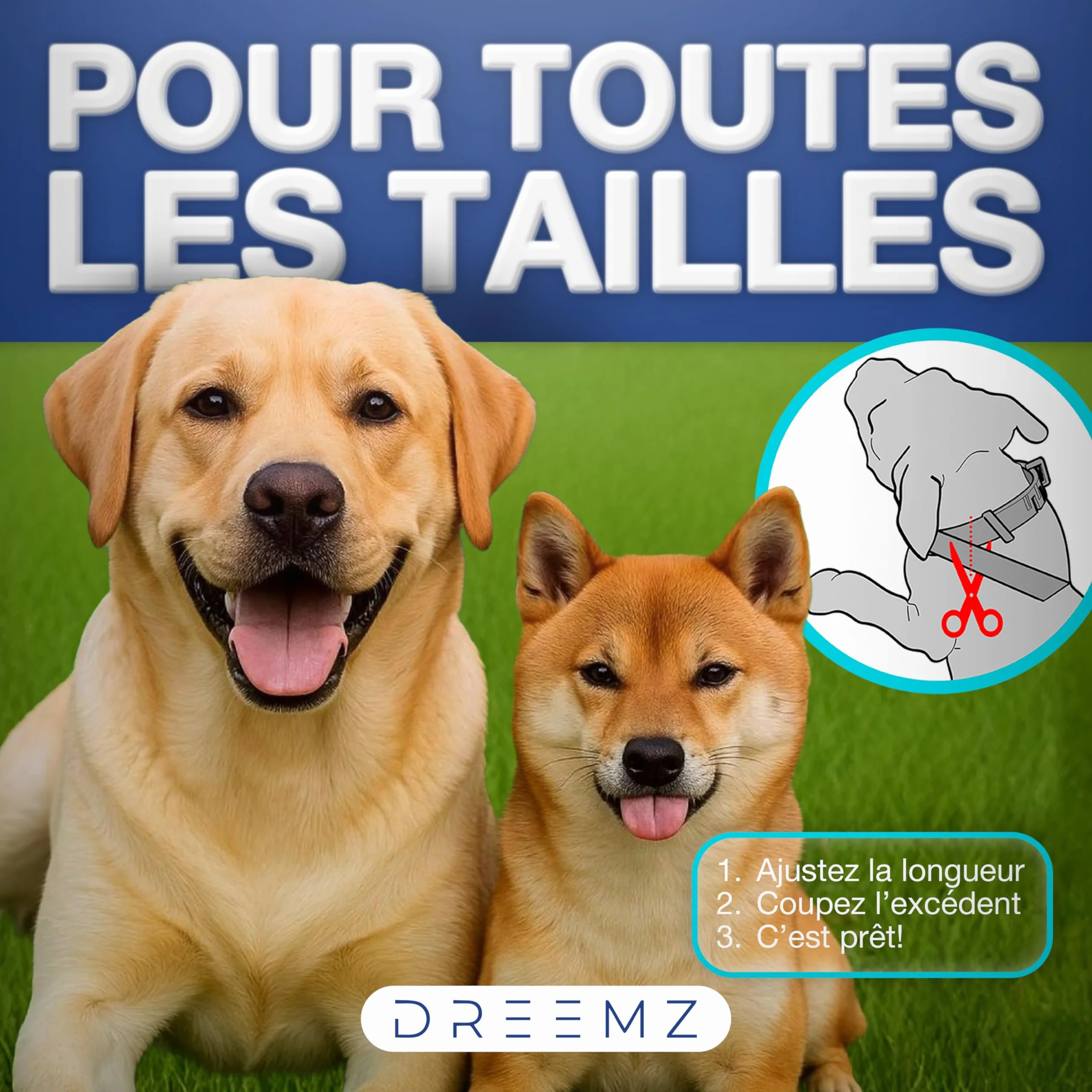 Collier Anti Puces pour Chien DREEMZ® 63cm Réglable 8 Mois Protection Imperméable Naturel