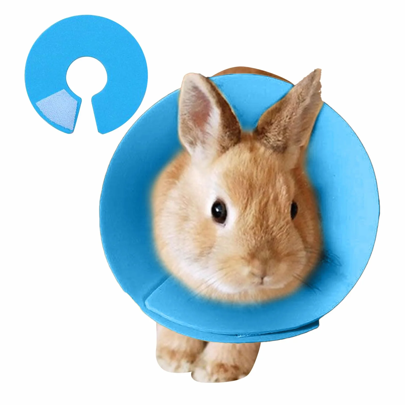 Collier conique pour hamster – Collier de protection pour oiseaux pour perruche, collier réglable pour protéger les voyages, la prévention des plaies, chat, lapin, perroquet, furet
