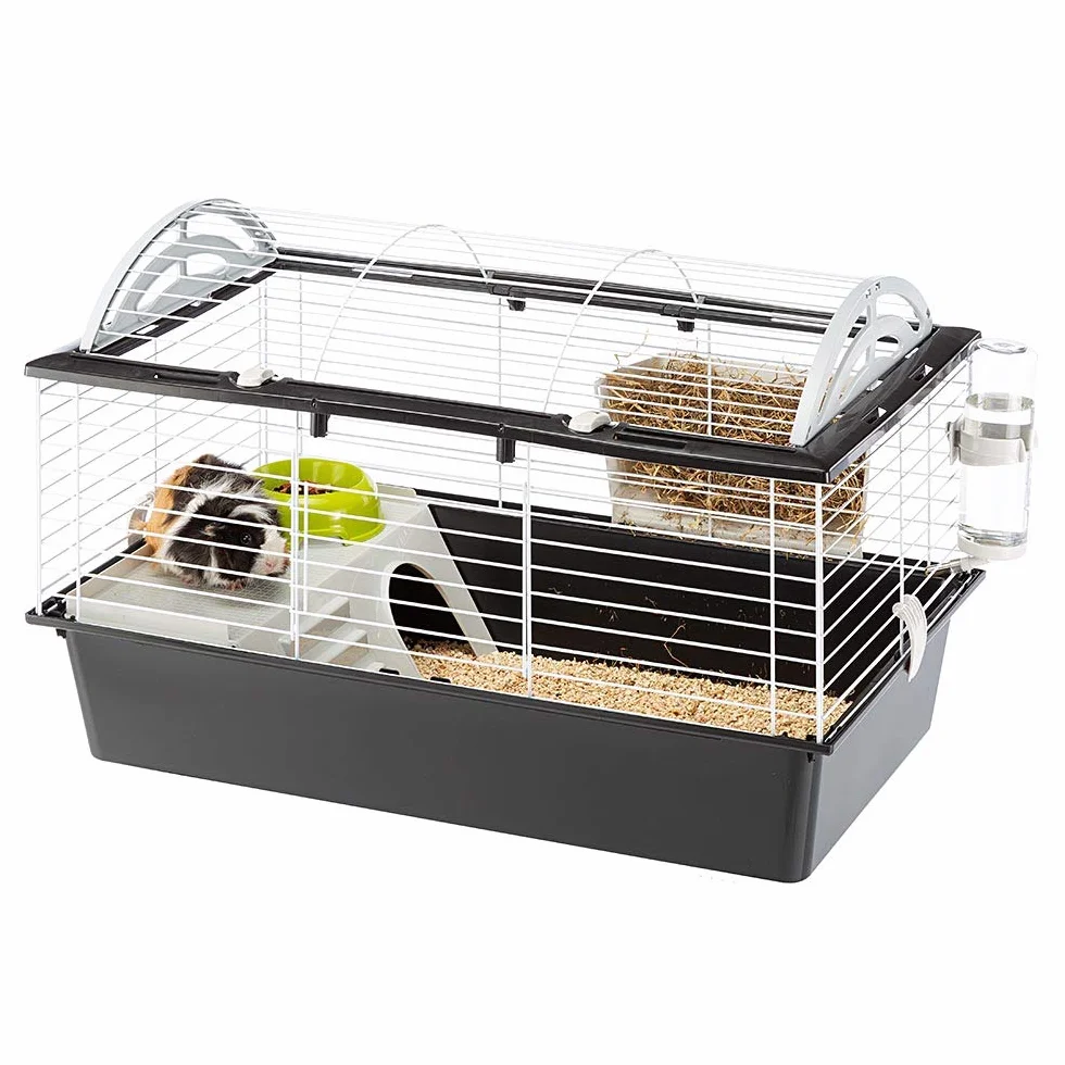 FERPLAST Cage pour Rongeurs CASITA 80 pour Cochons d'Inde, Cochons d'Inde, en Métal, Accessoires inclus : Mangeoire, Abreuvoir, Abreuvoir, Maison. 78x48xh50cm