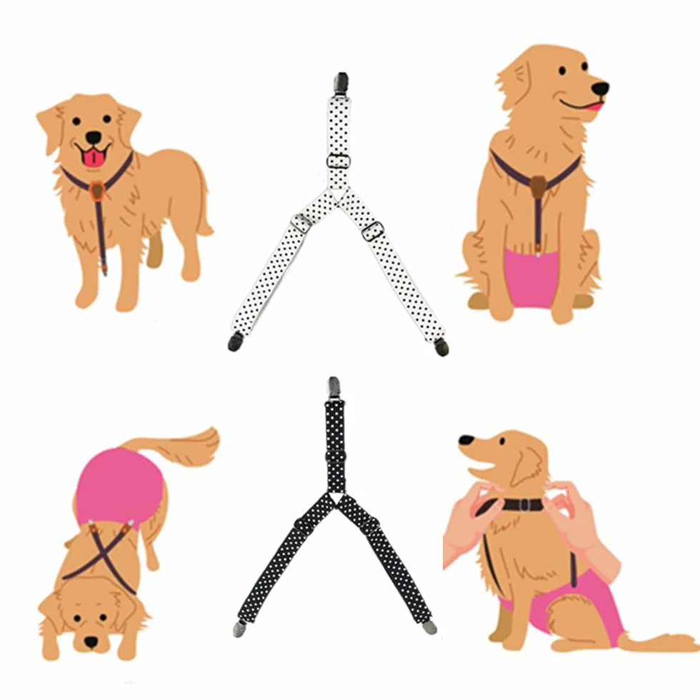 Bretelles pour chiens avec harnais et couches réglables pour chiots et adultes