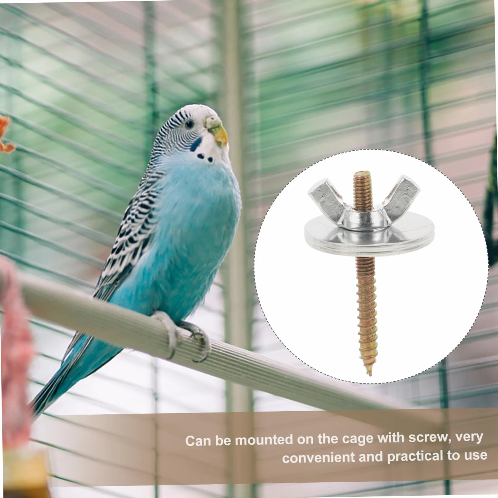 iplusmile 10 Ensembles Vis de Fixation pour Cage à Oiseaux avec Écrous et Rondelles