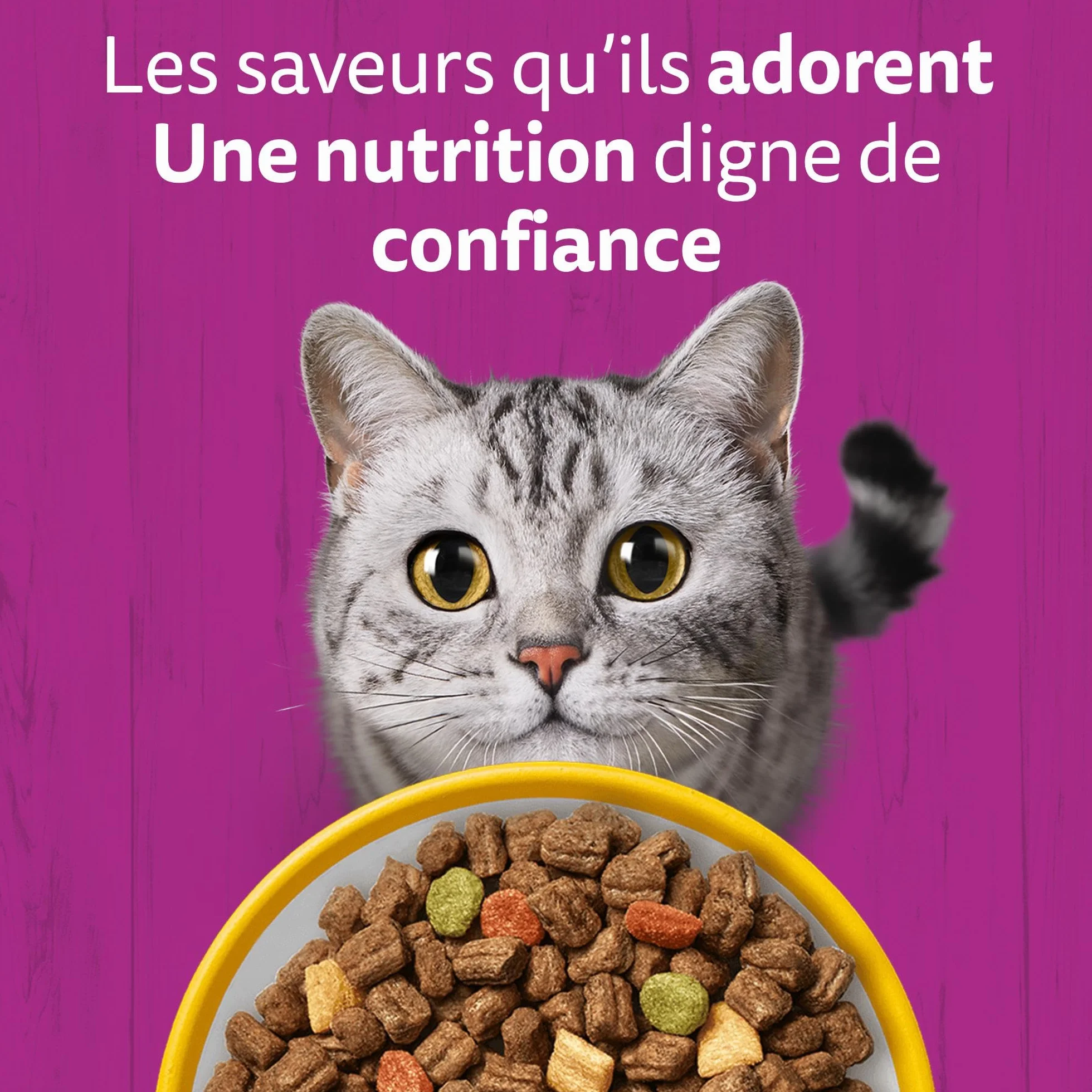 WHISKAS Croquettes pour chat adulte 7 kg au poulet