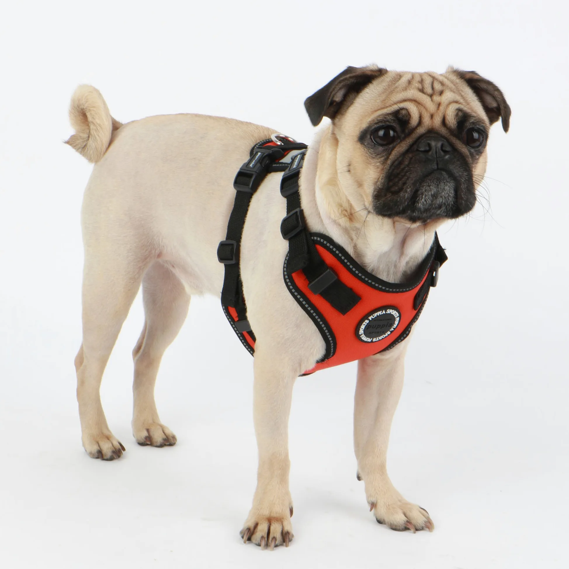 Puppia Orange Trek PLRA-HF9323-OR-S Harnais de sécurité F pour Animaux de Compagnie Taille S