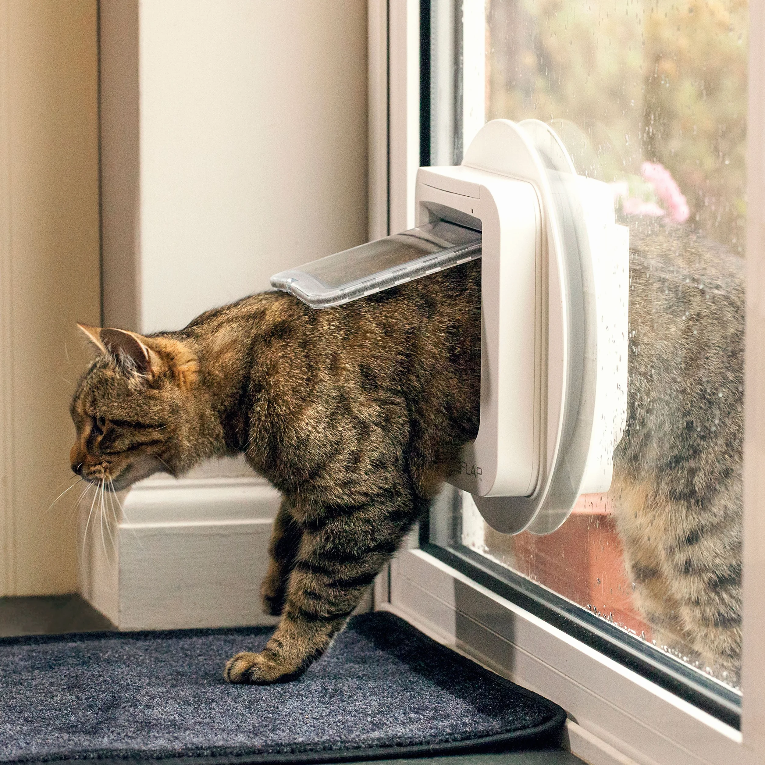 Sure PetCare SureFlap Chatière à Puce électronique Compatible médaillon identification radiofréquence puces électroniques Portes fenêtres Murs Marron