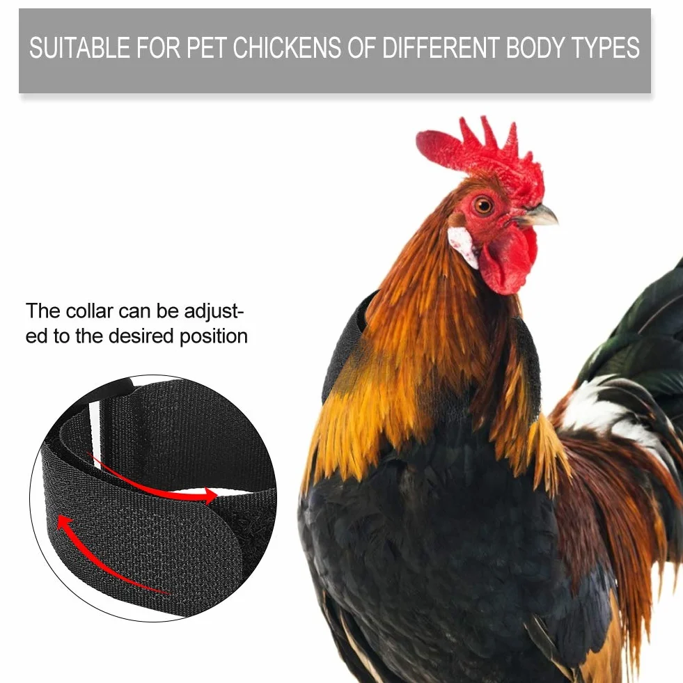 Collier anti-crochet anti-bruit pour coqs d'animaux de compagnie, 10 pièces, empêche les poules de crier (style normal) (Type 2)