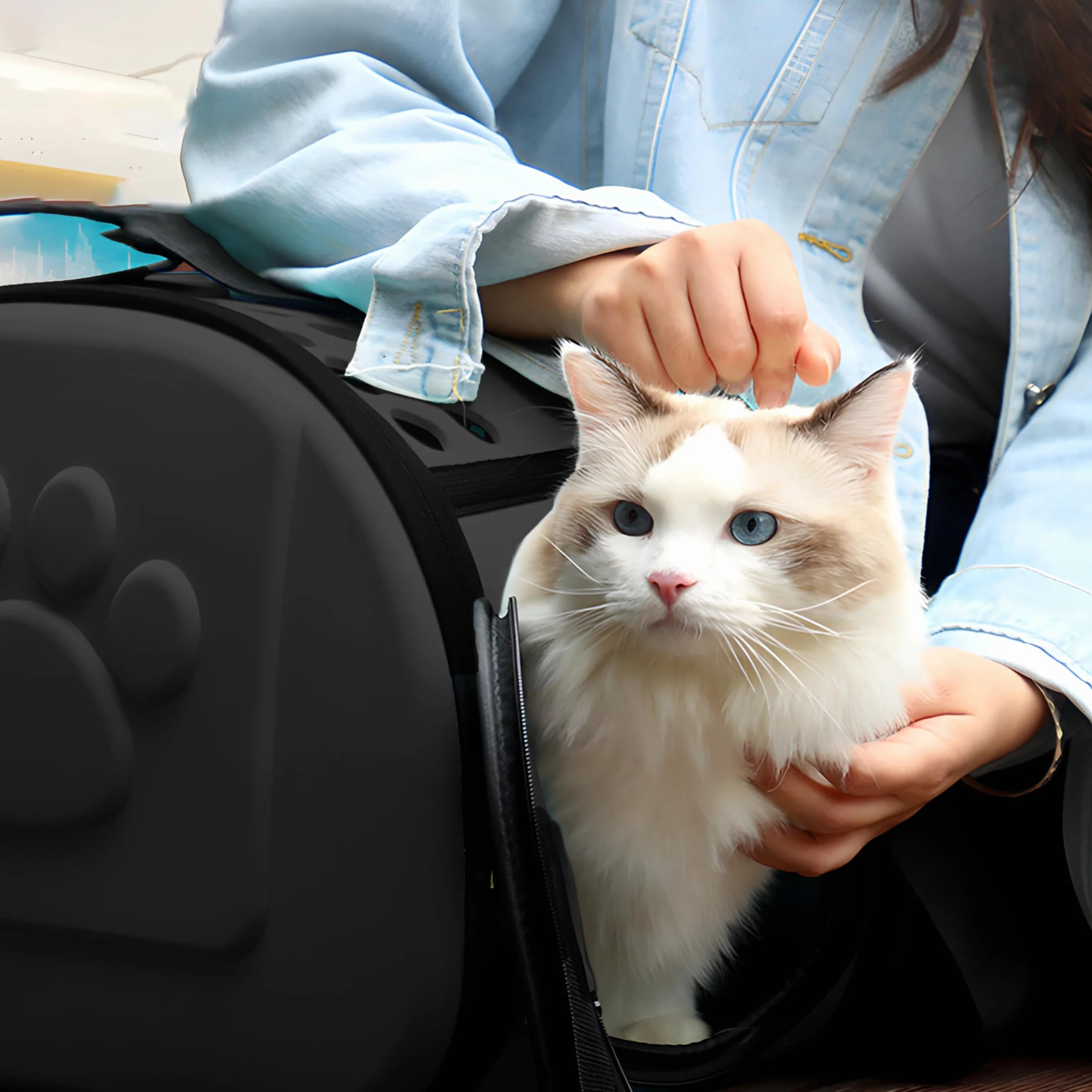Retoo Sac de Transport 43x32x27 cm Pliable pour Chat Chien Petit - Cage Transport Chaton Chiot Lapin Noir