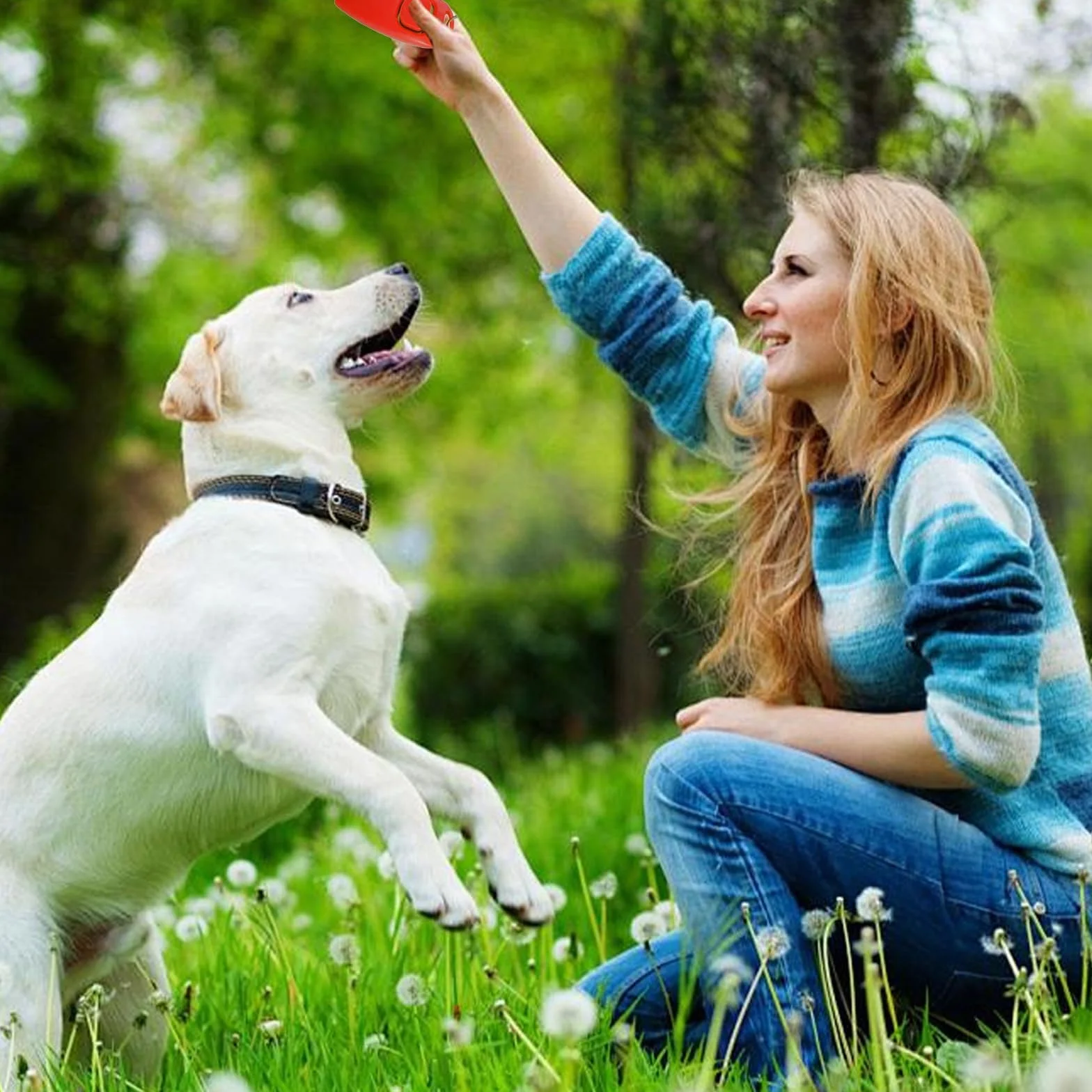 3pièces Sifflet pour Chien,Clicker de Dressage pour Animal de Compagnie,Haute fréquence Sifflet pour Chien,Dresseur avec Sangle de Poignet,Fonction 2 en 1,Facile à Transporter