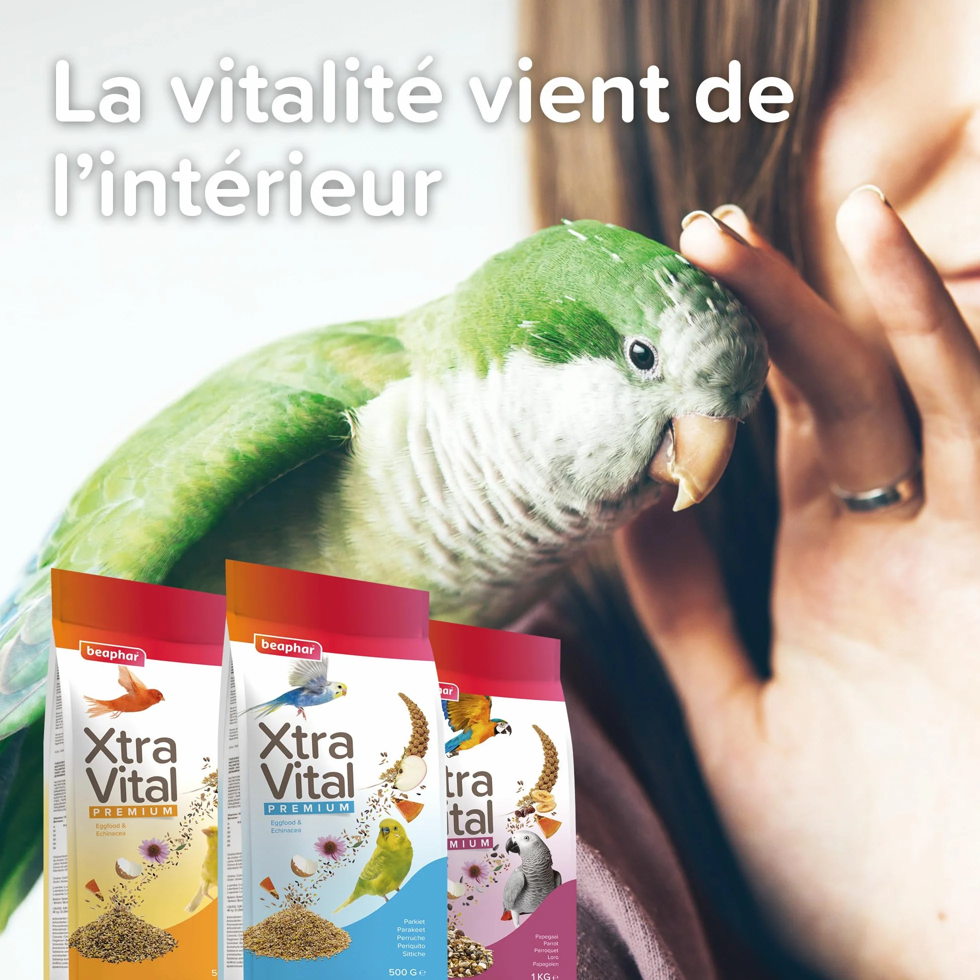 Beaphar XTRAVITAL Alimentation Premium Oiseaux Exotiques 500g