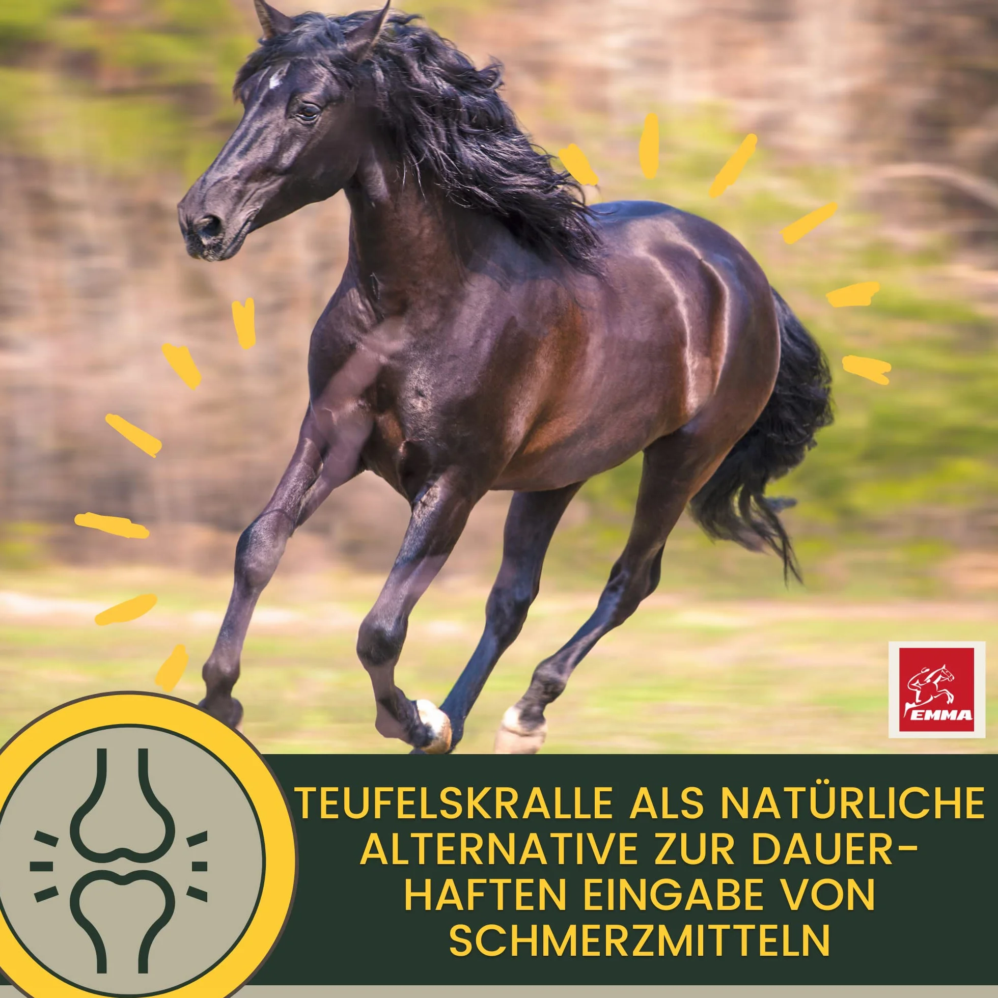 Griffe du diable cheval 1L articulation plus griffe du diable naturelle chevaux I chevaux liquide articulations pour le soutien de l'appareil locomoteur & les articulations en cas d'arthrose cheval