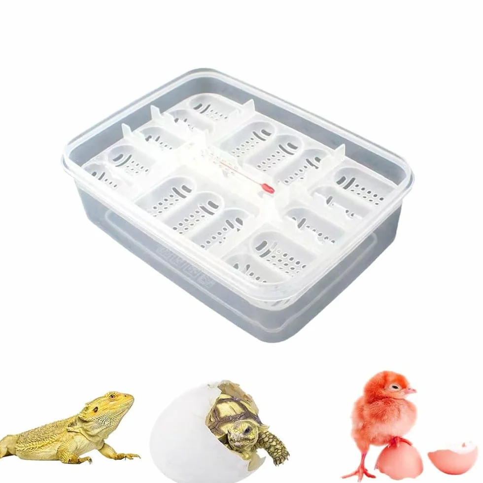 Incubateur Reptiles Boîte d'Élevage Transparente 16 Grilles pour Œufs Serpents Lézards Amphibiens