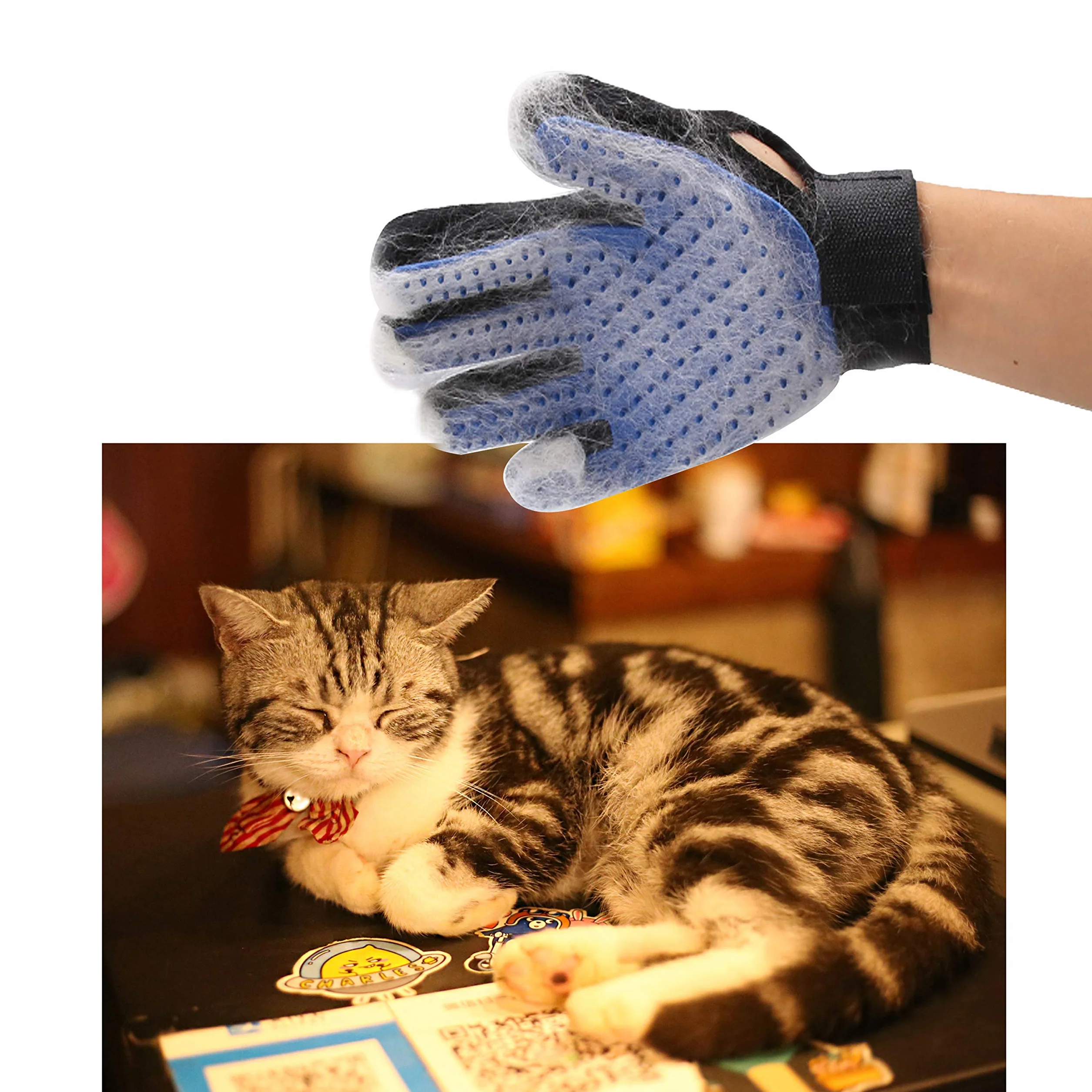 Eco-Fused Kit de brosse pour chats Auto-toiletteur Brosse Lissante Bleue Gant de toilettage