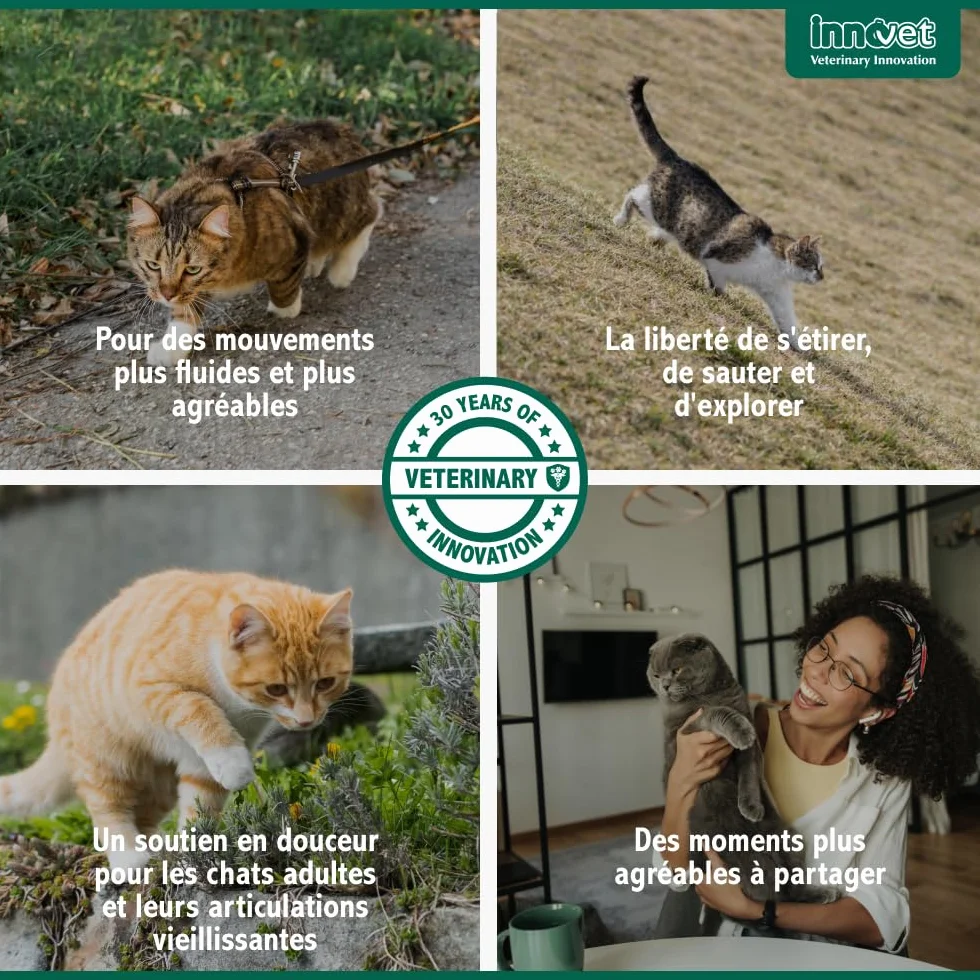 Innovet Condrostress Cat Complément Alimentaire Articulaire pour Chats Adultes et Âgés, Confort Articulaire, Mobilité, Collagène, Chondroïtine, Acide Hyaluronique - 30 gélules