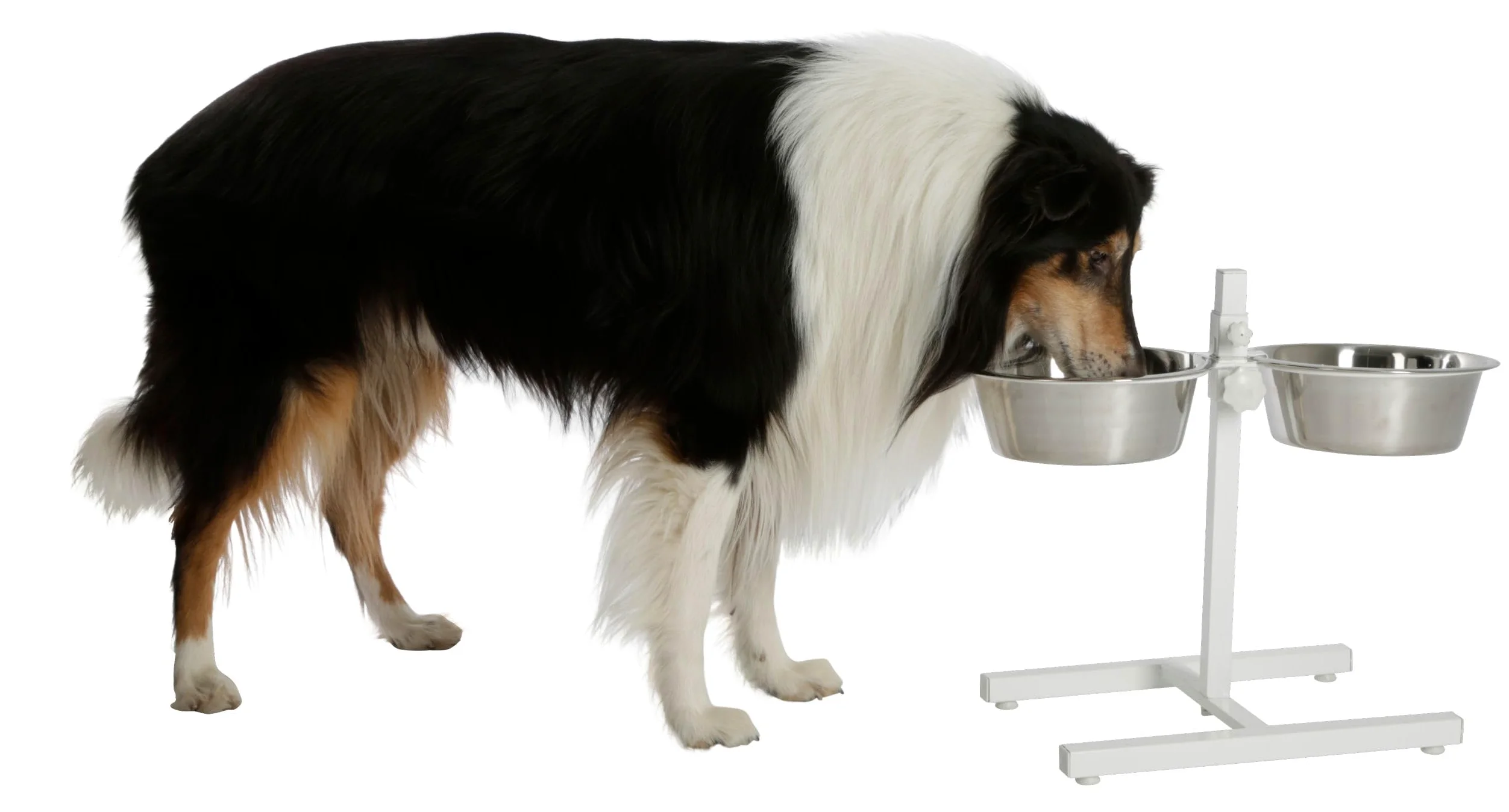 Kerbl gamelle pour Chien, Blanc, 54x27x43 cm, 2x2800 ML, Cadre en Acier, 2 gamelles en Acier Inoxydable, Hauteur réglable en continu, gamelle surélevée