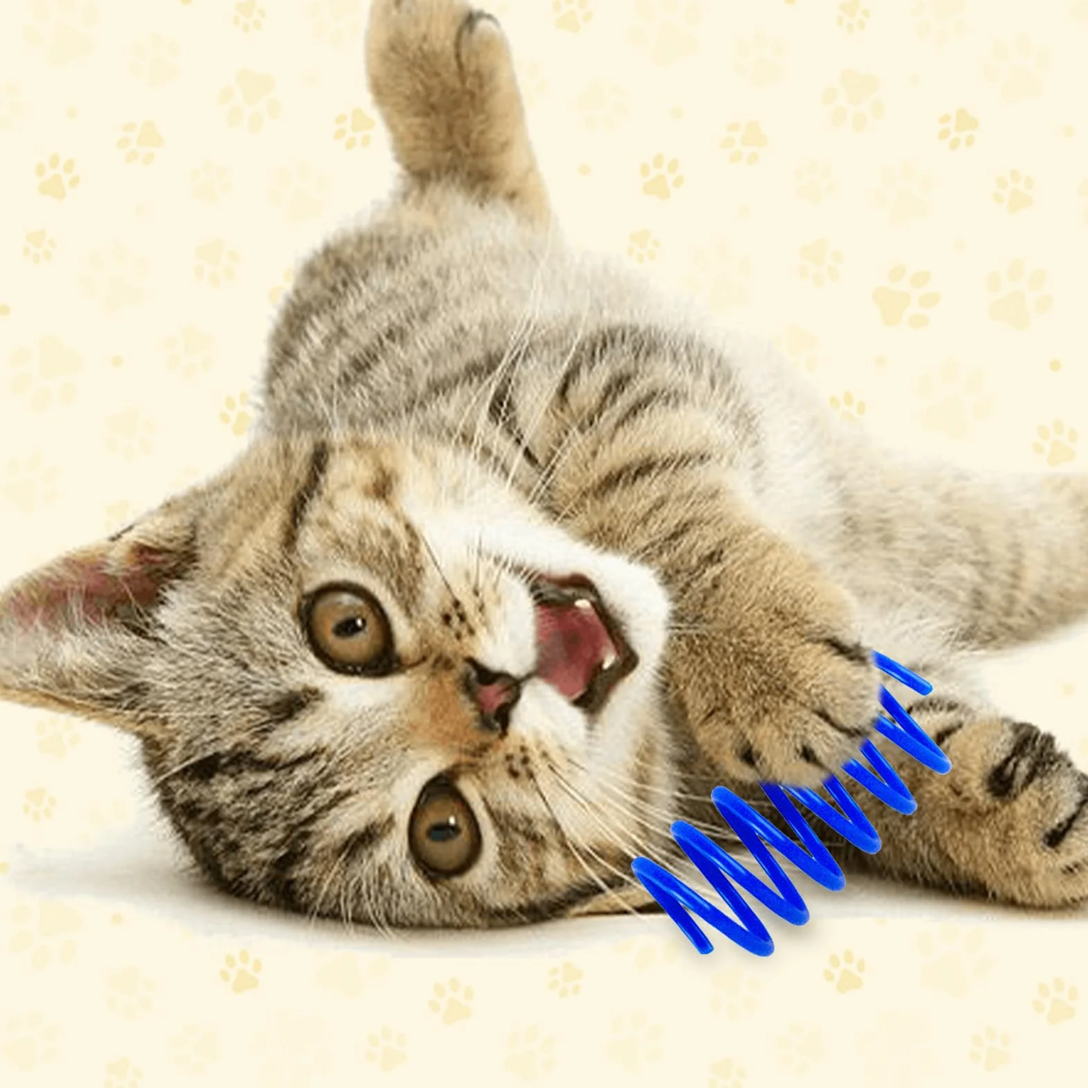 Lot de 24 Ressorts à Chat Jouets Interactifs, Jouet à Ressort pour Chat avec 4 Couleurs pour Chats Actifs