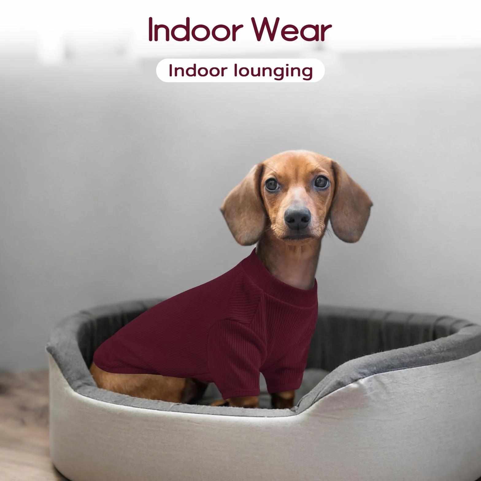 Pull en tricot pour chien L - T-shirt léger pour animal de compagnie Beagle Schnauzer miniature Border Terrier