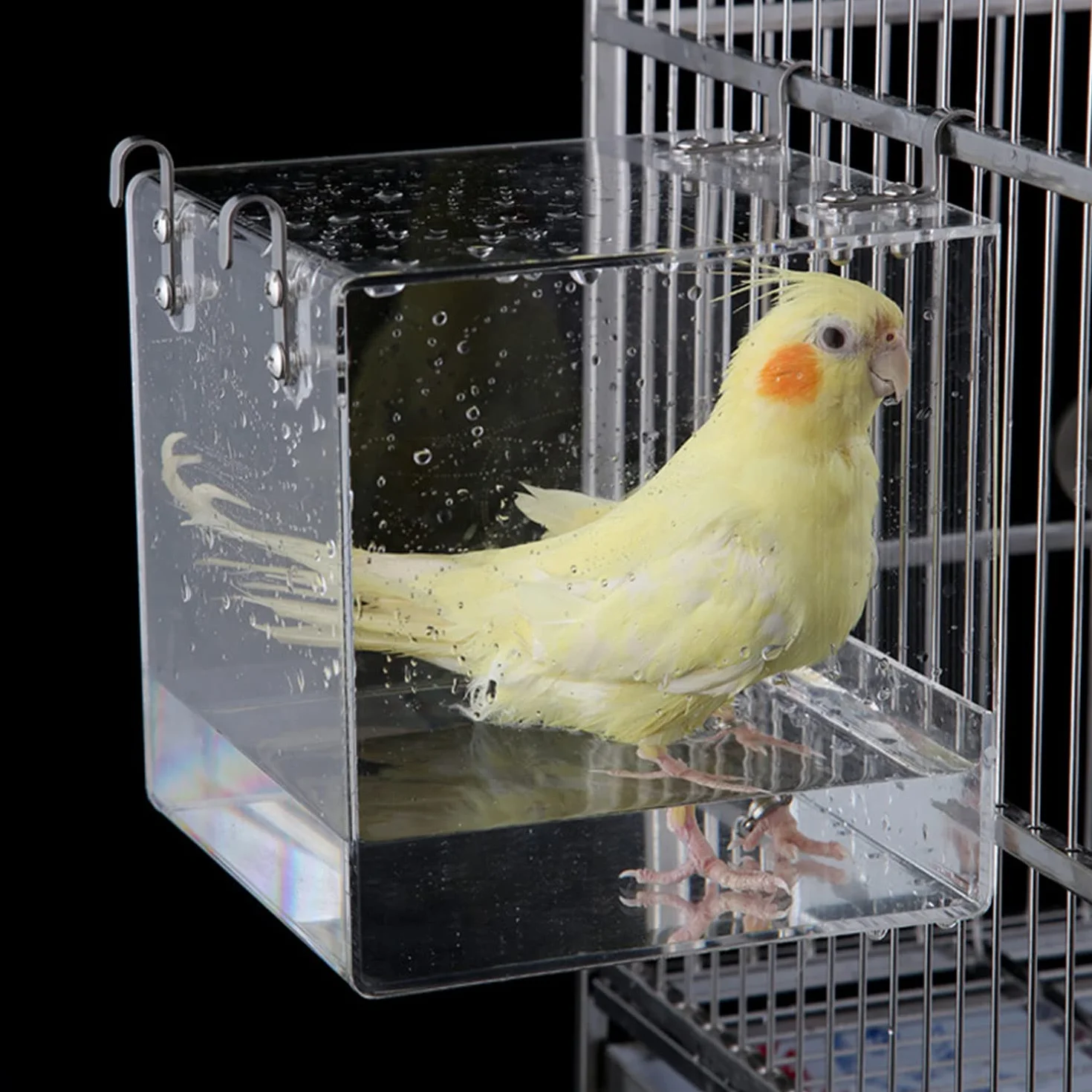 GURECOD Bain d'oiseau Suspendu Cube 13x13x11cm pour Petits Oiseaux Canaris Perroquets