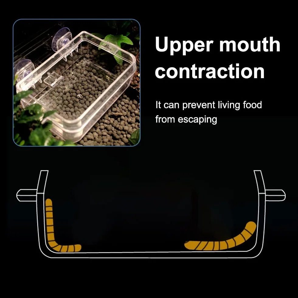 DONGKER Bol Caméléon Mangeoire d'alimentation en Eau pour Reptiles avec Ventouse